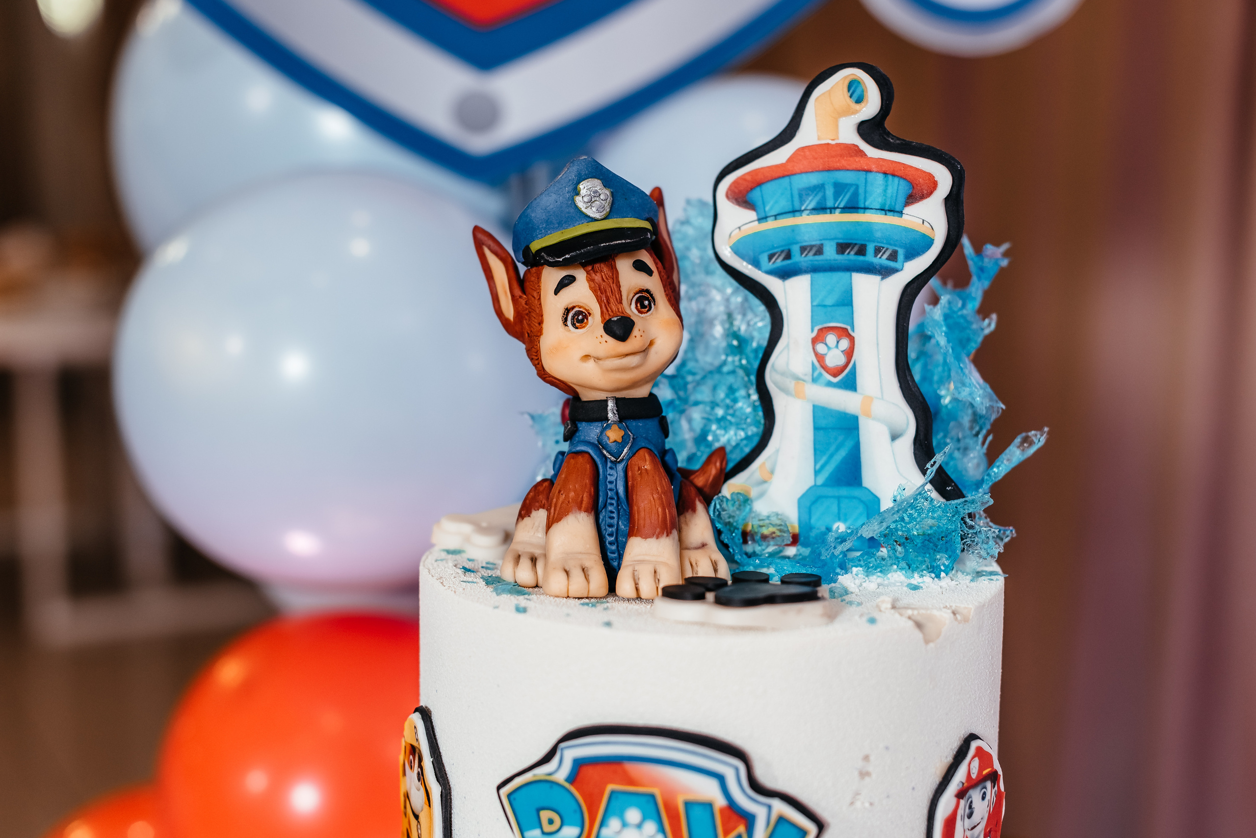 День народження. Весільний та сімейний фотограф Україна