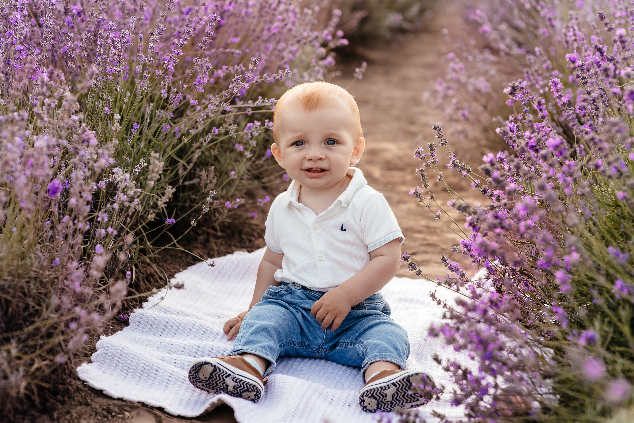 Лаванда. Весільний та сімейний фотограф Україна