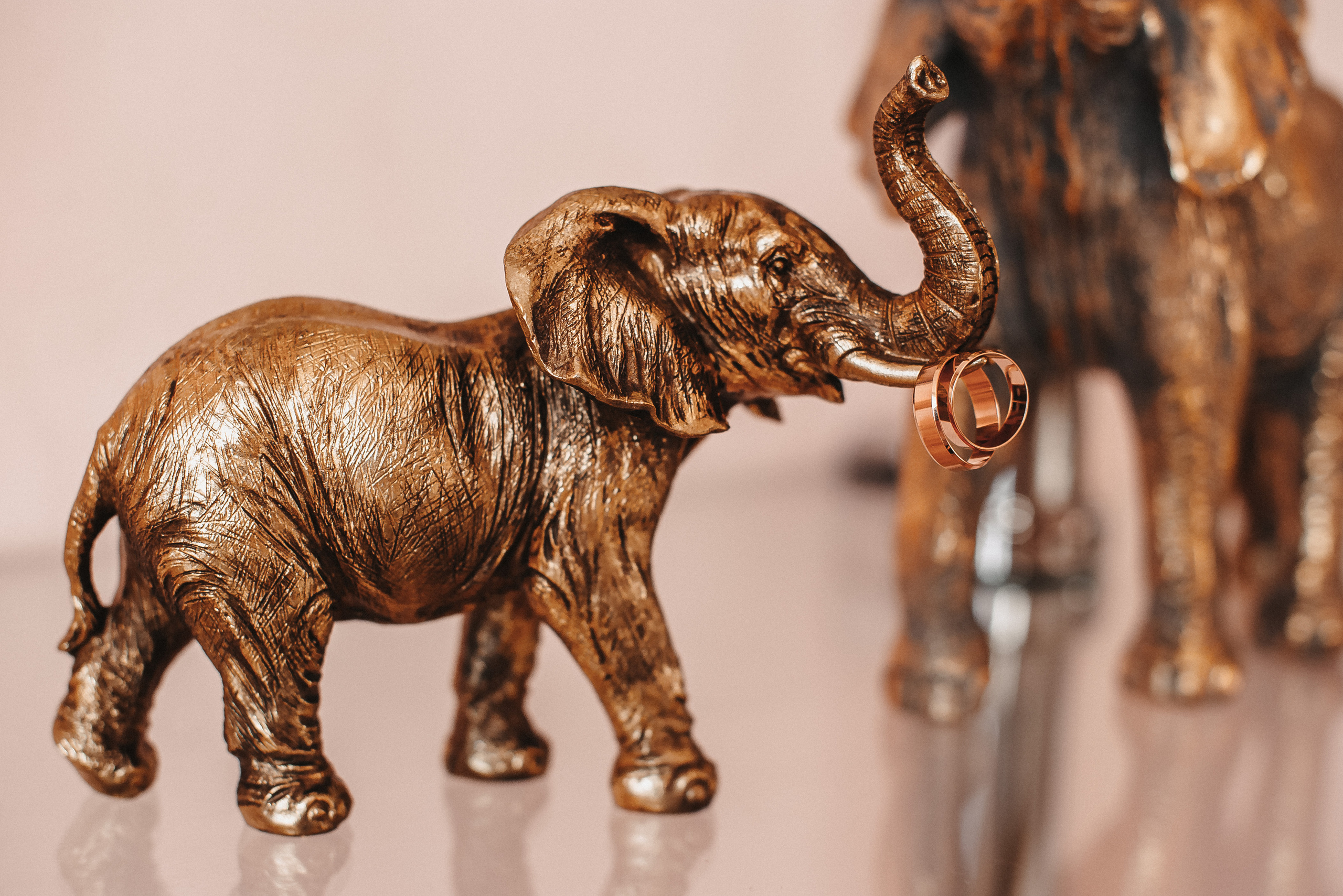 Юлія та Сергій (анонс). Весільний та сімейний фотограф Україна