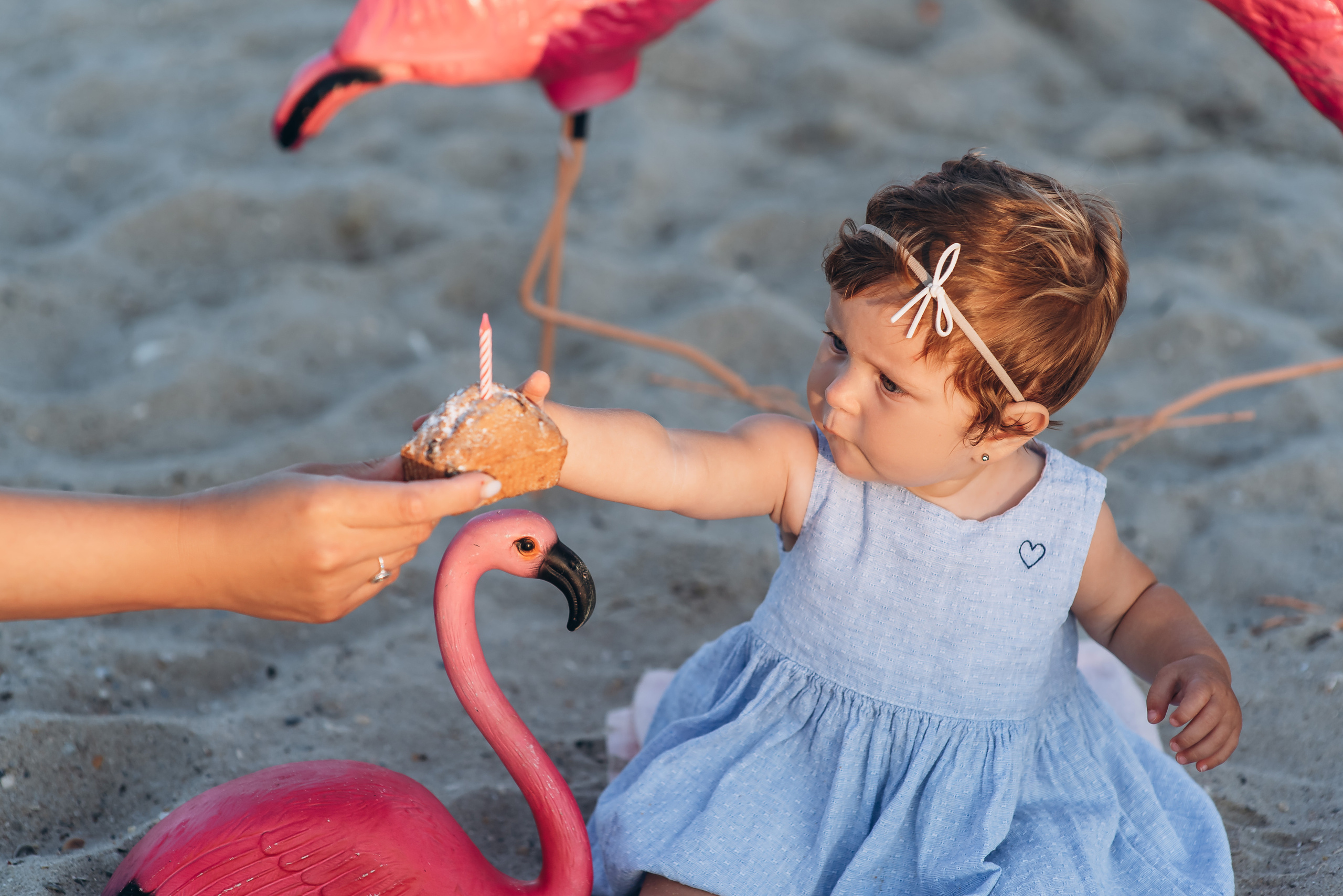 День народження. Весільний та сімейний фотограф Україна