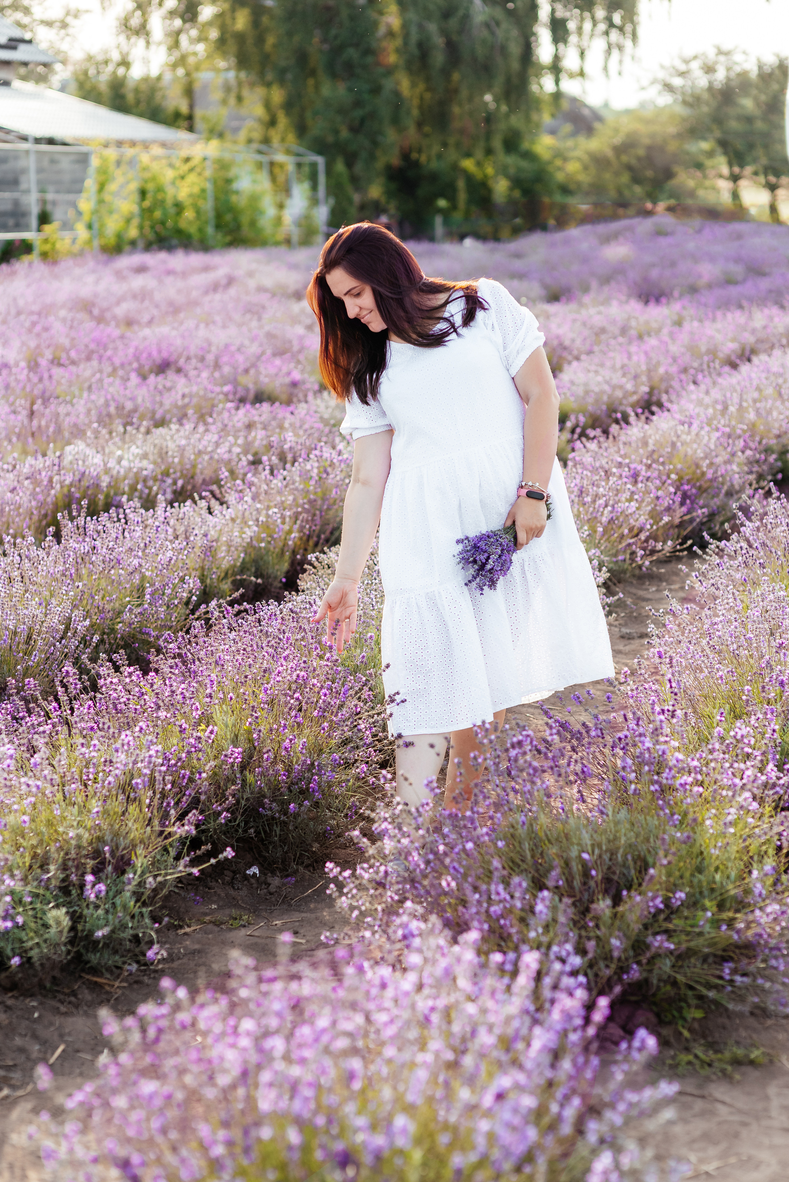 Лаванда. Весільний та сімейний фотограф Україна