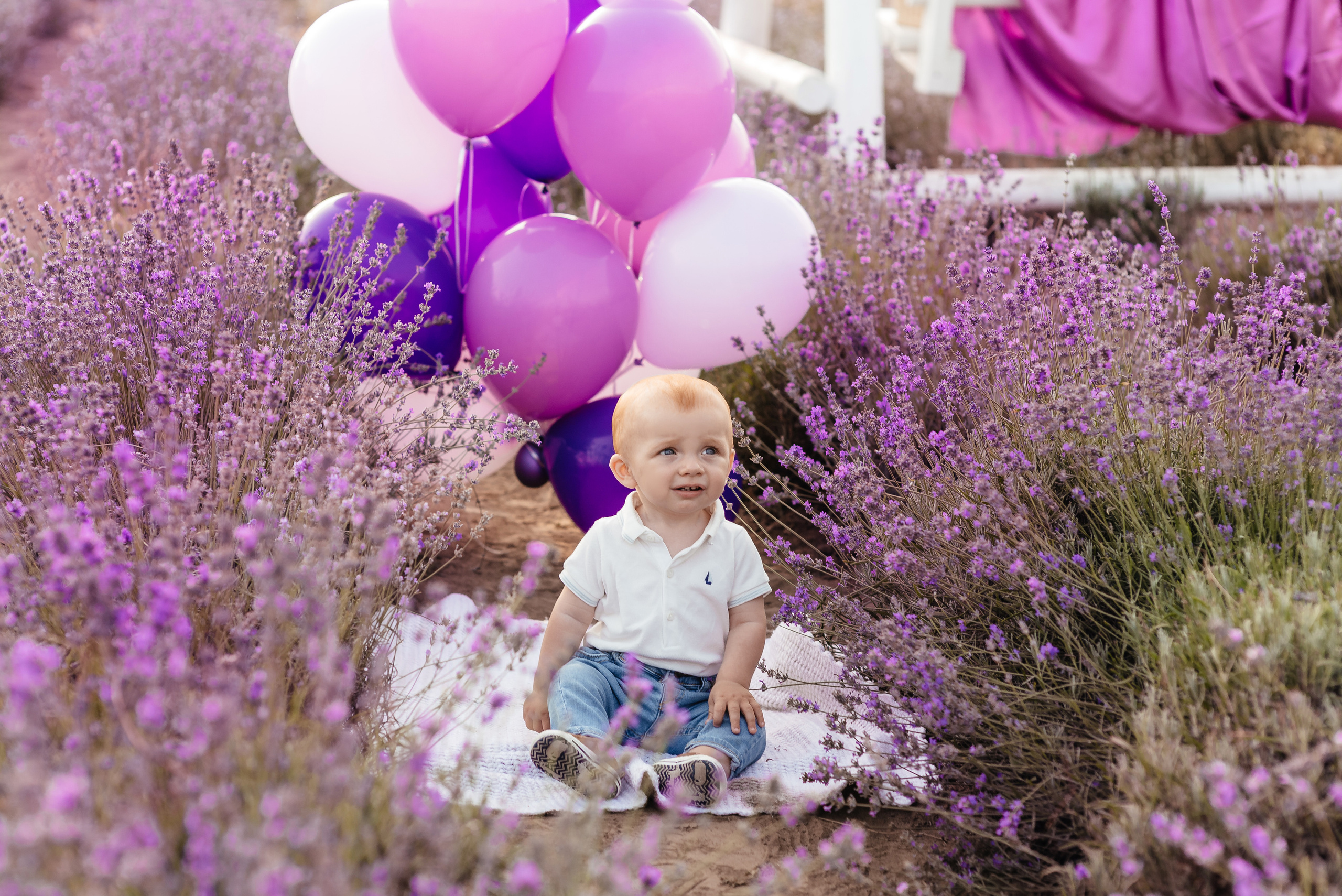Лаванда. Весільний та сімейний фотограф Україна