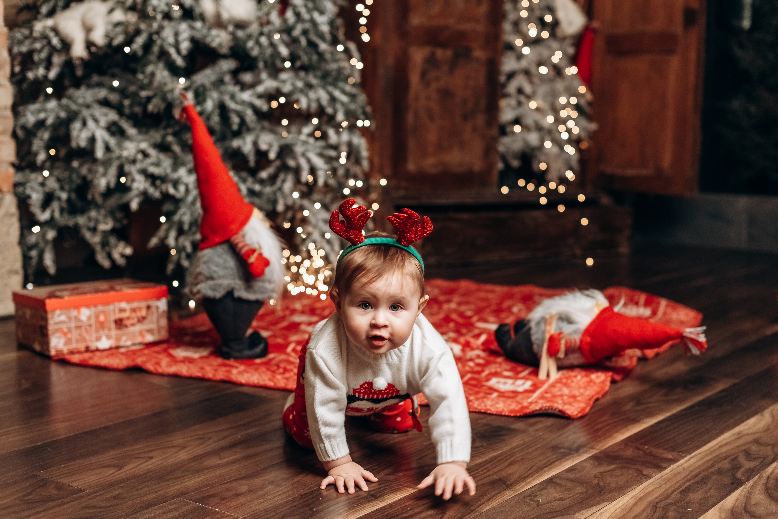 Новорічна та сімейн фотосесія. Весільний та сімейний фотограф Україна