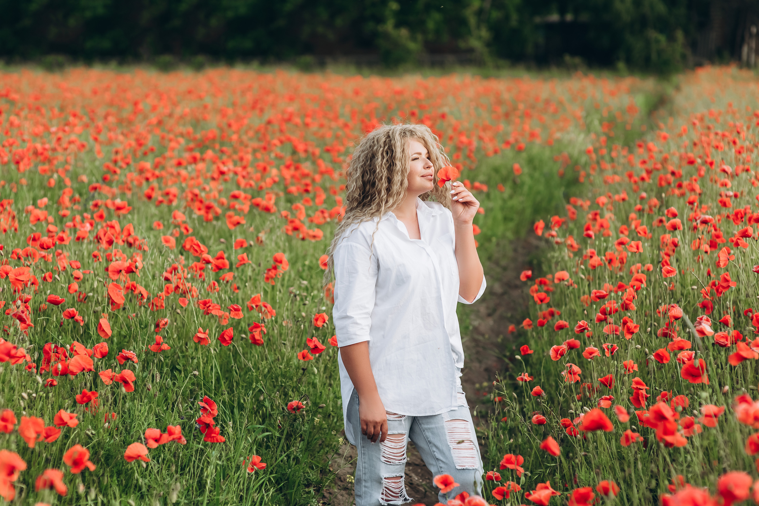 Маки. Весільний та сімейний фотограф Україна
