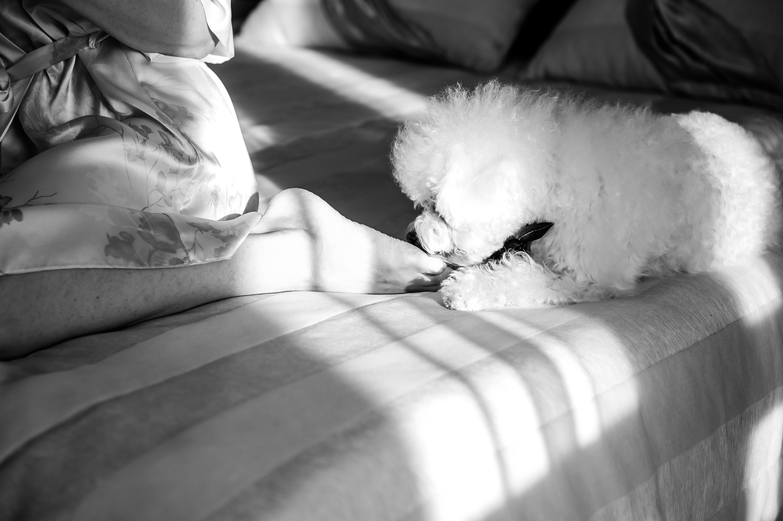 Юлія та Сергій (анонс). Весільний та сімейний фотограф Україна