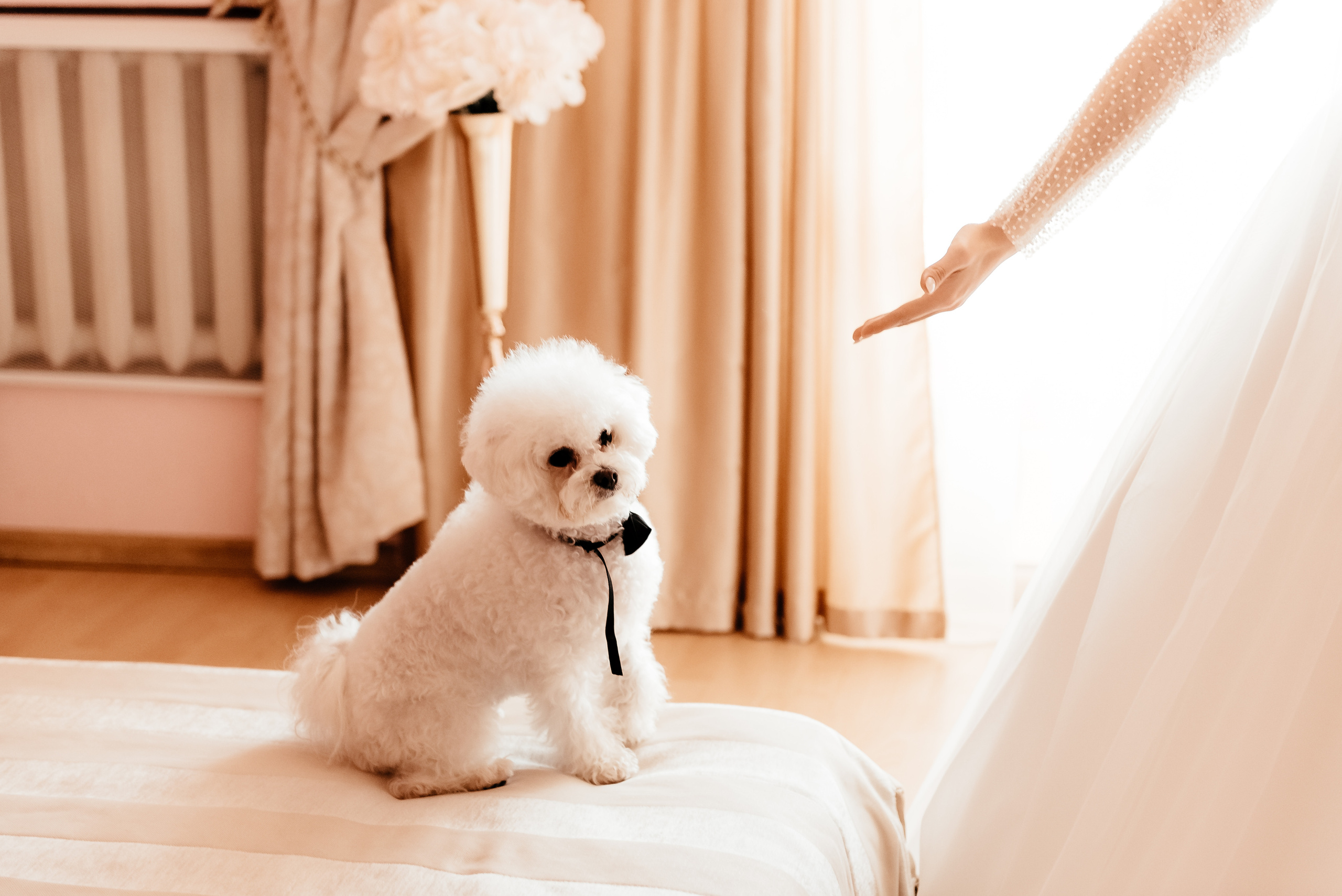 Юлія та Сергій (анонс). Весільний та сімейний фотограф Україна