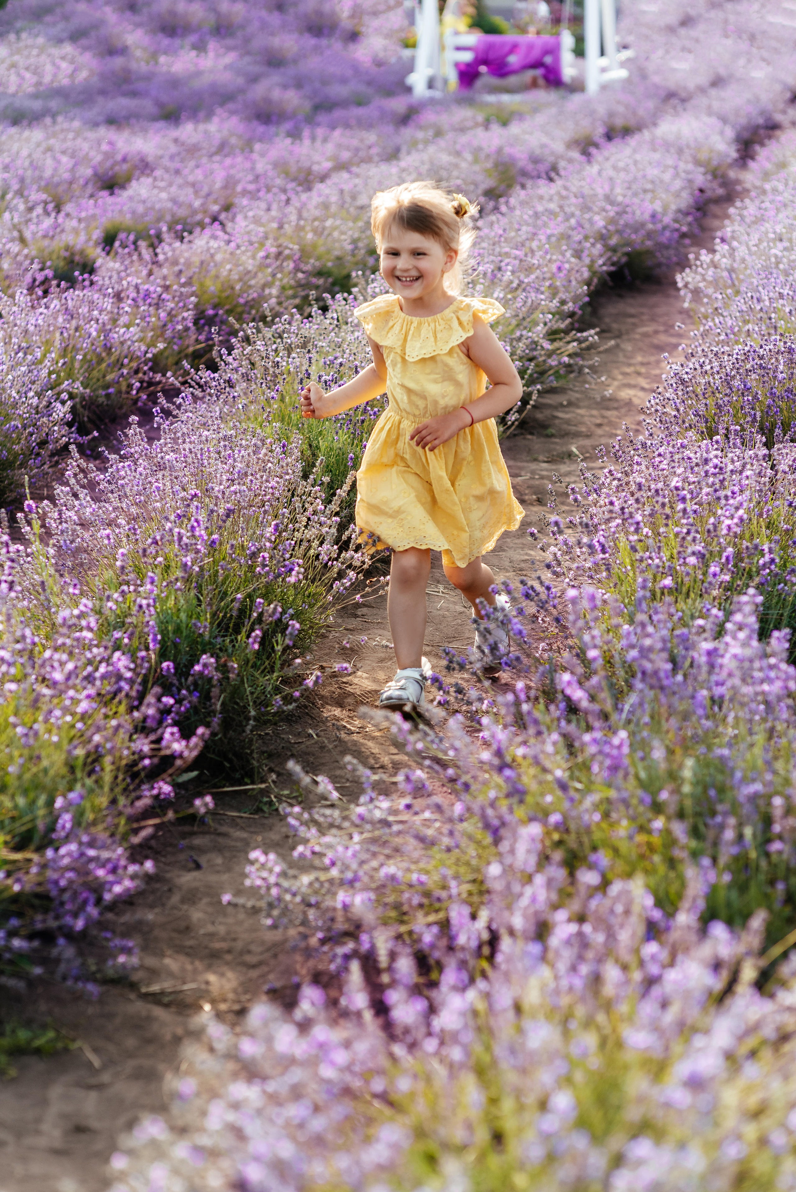 Лаванда. Весільний та сімейний фотограф Україна