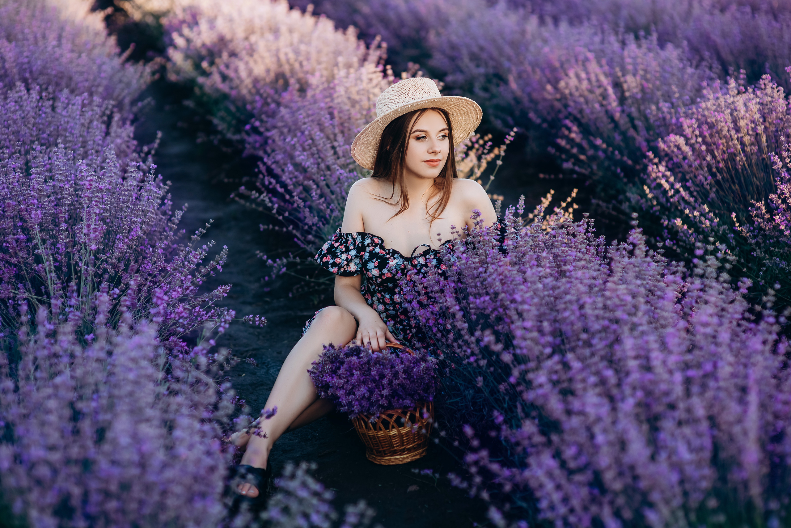 Таня і Діма лаванда. Весільний та сімейний фотограф Україна