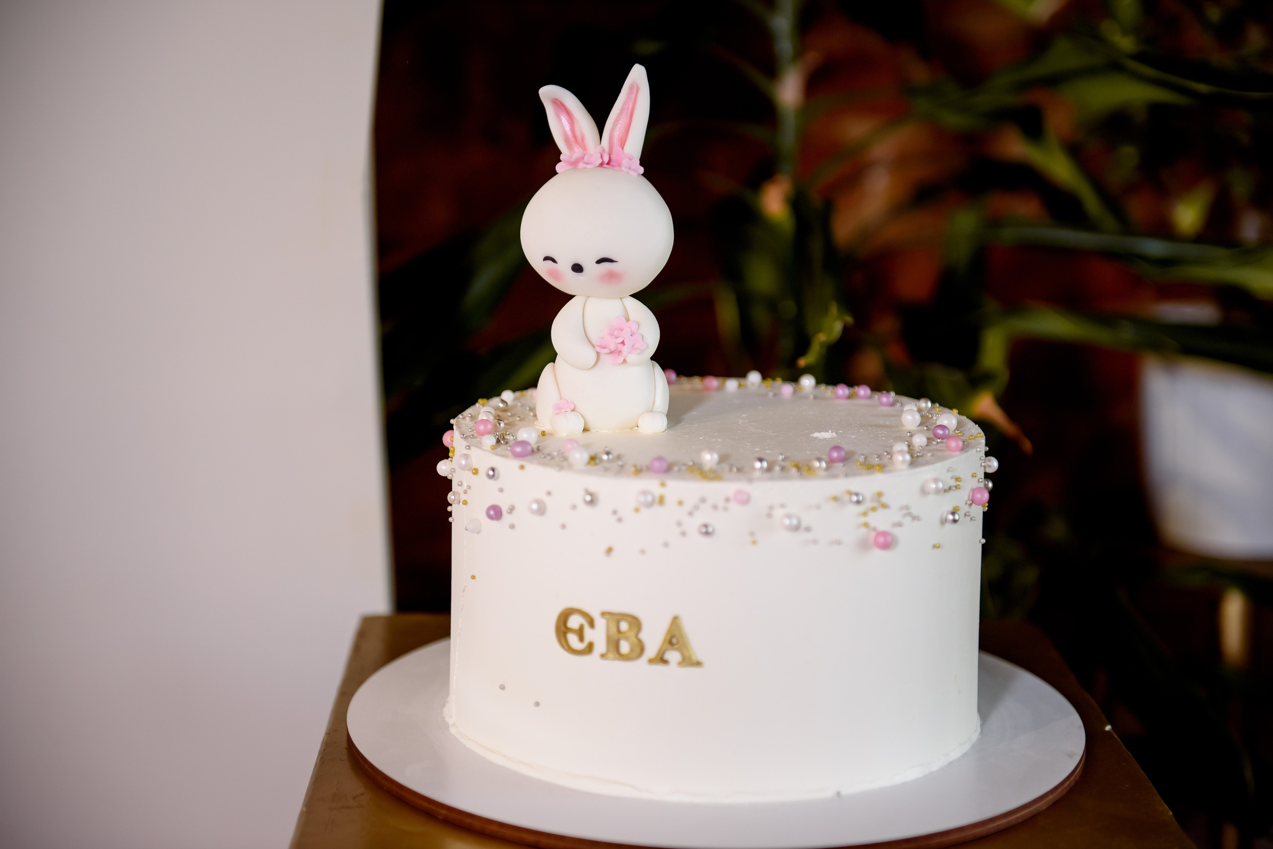 День народження Євочки. Весільний та сімейний фотограф Україна