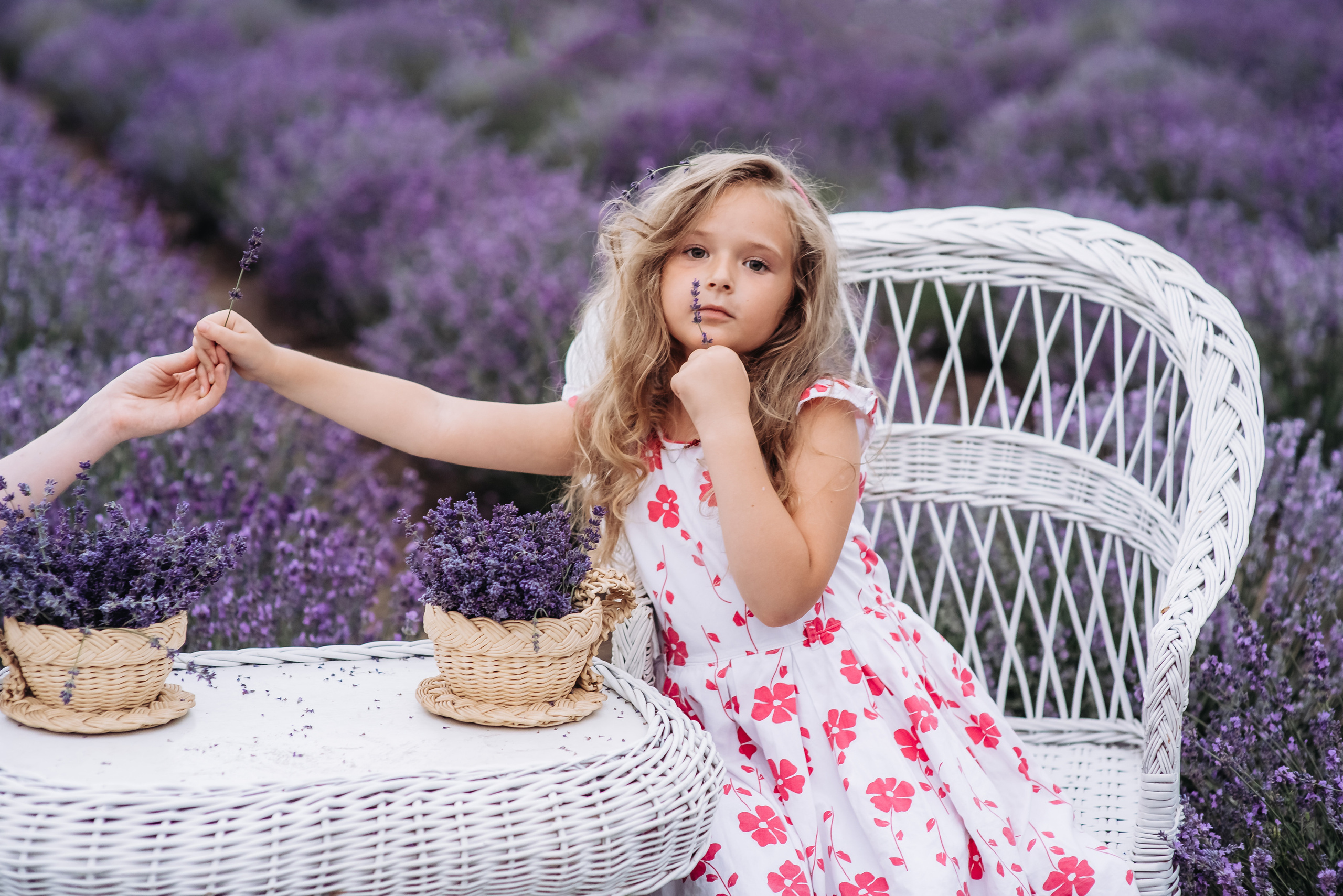 Лаванда. Весільний та сімейний фотограф Україна