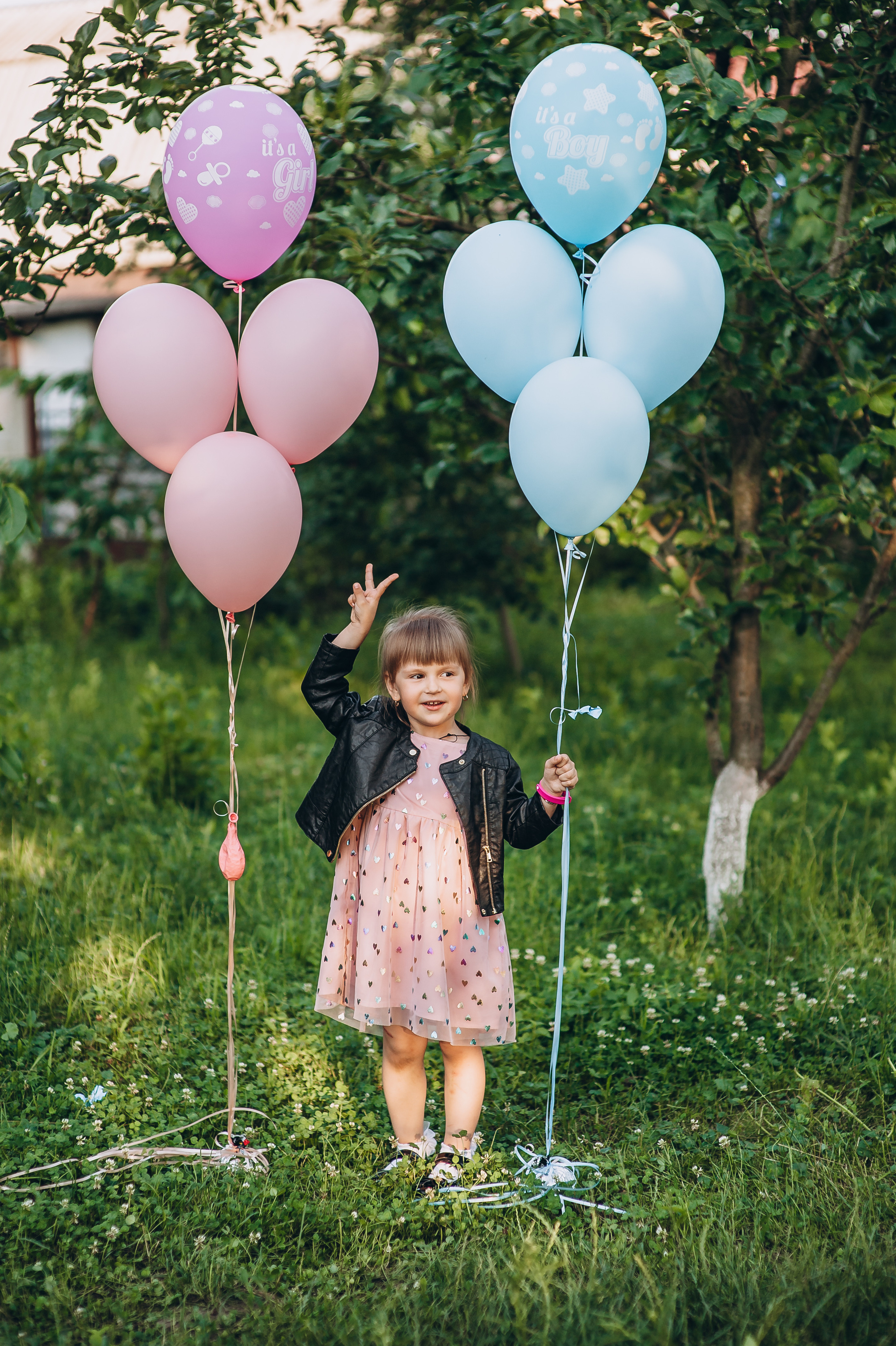 Gender party. Весільний та сімейний фотограф Україна