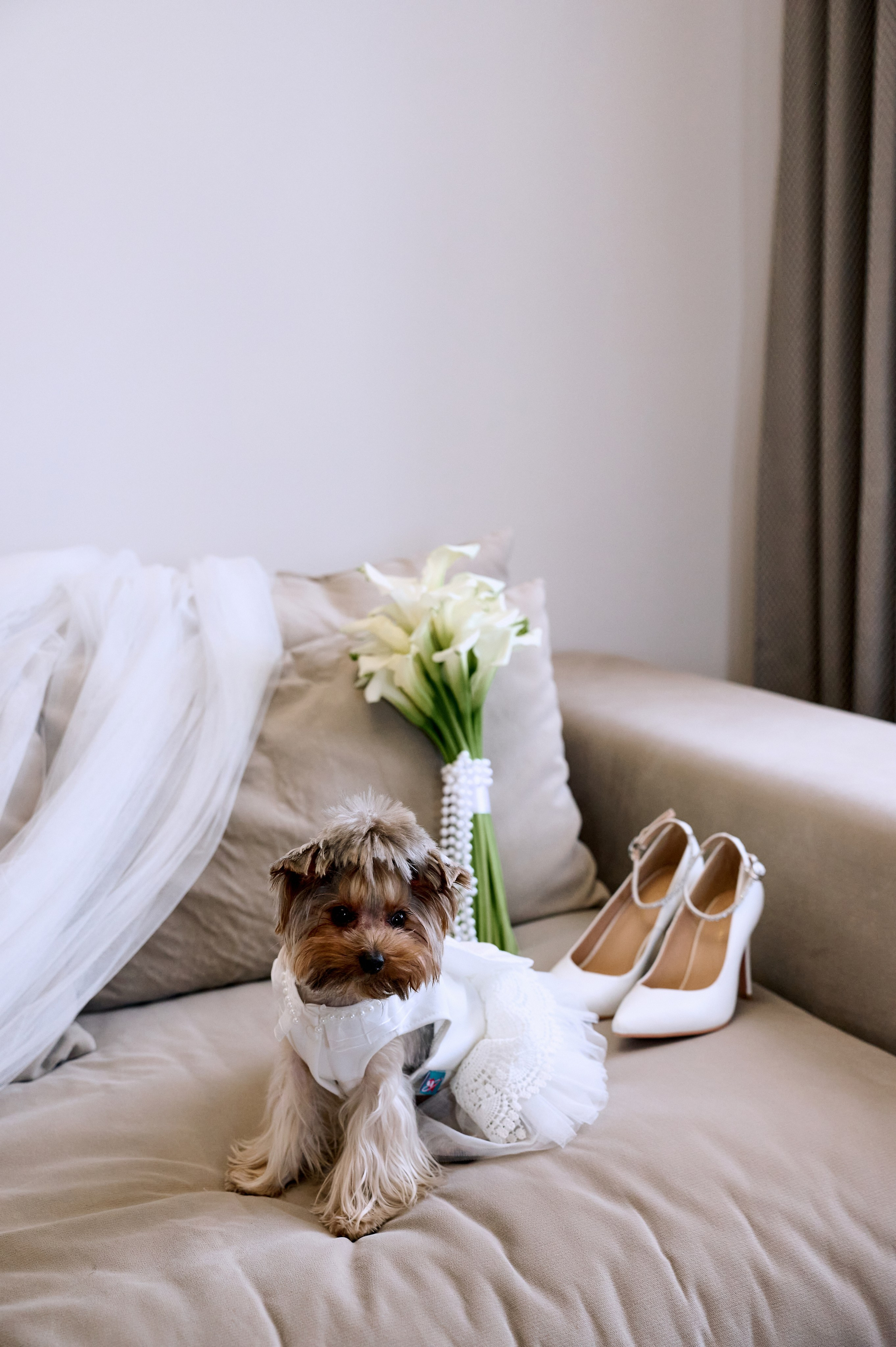 Весільні історіі. Весільний та сімейний фотограф Україна