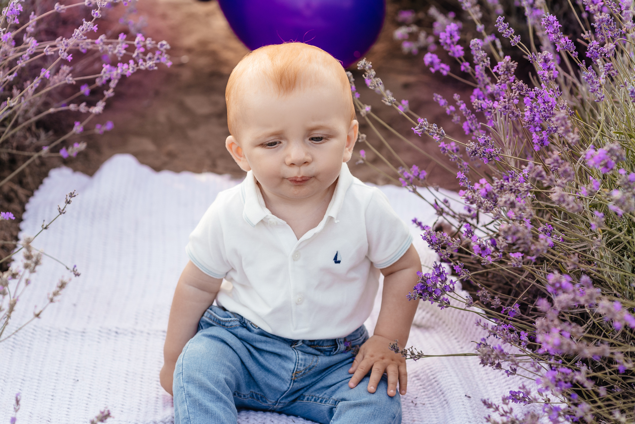 Лаванда. Весільний та сімейний фотограф Україна