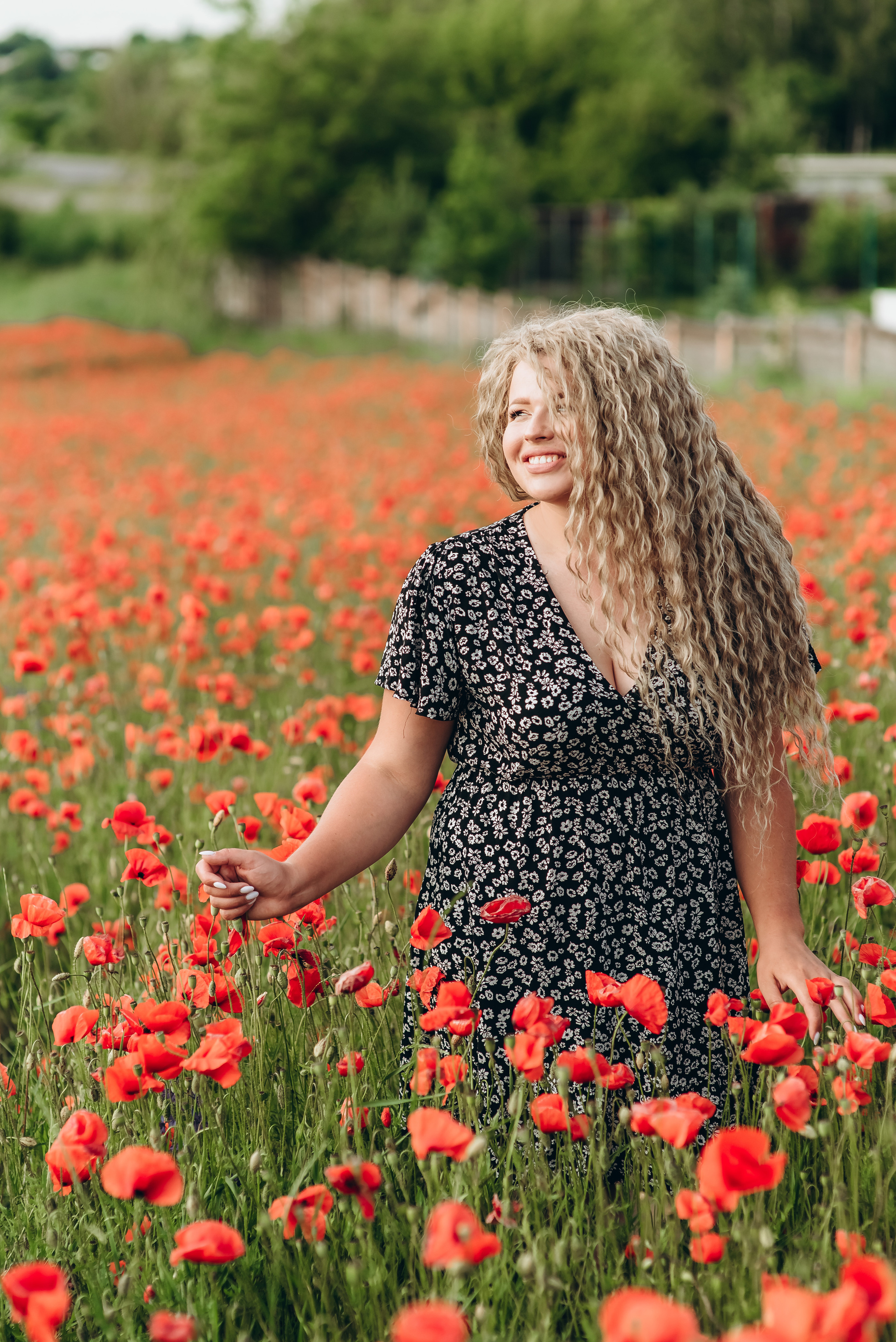Маки. Весільний та сімейний фотограф Україна