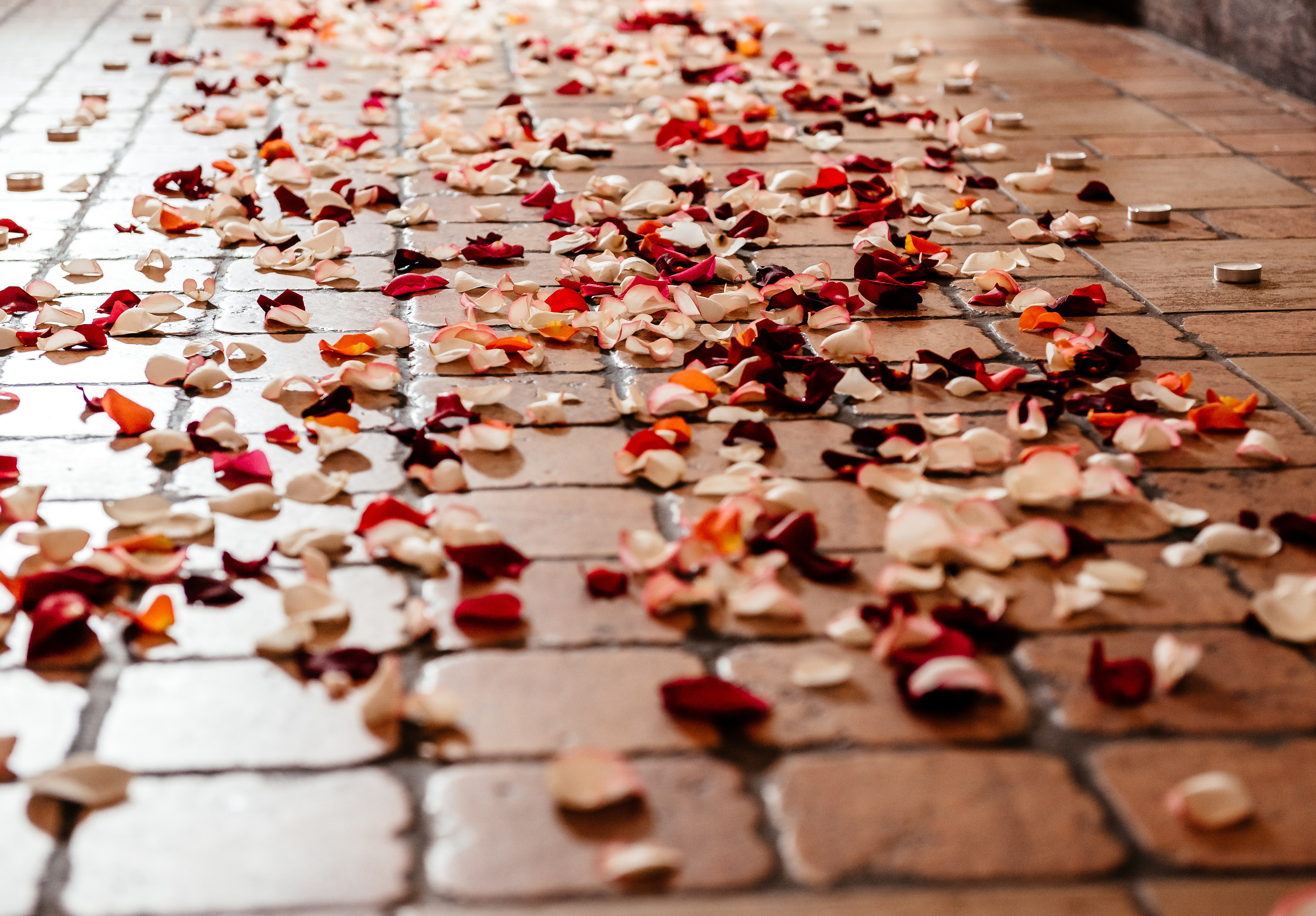 Вона сказала так…. Весільний та сімейний фотограф Україна