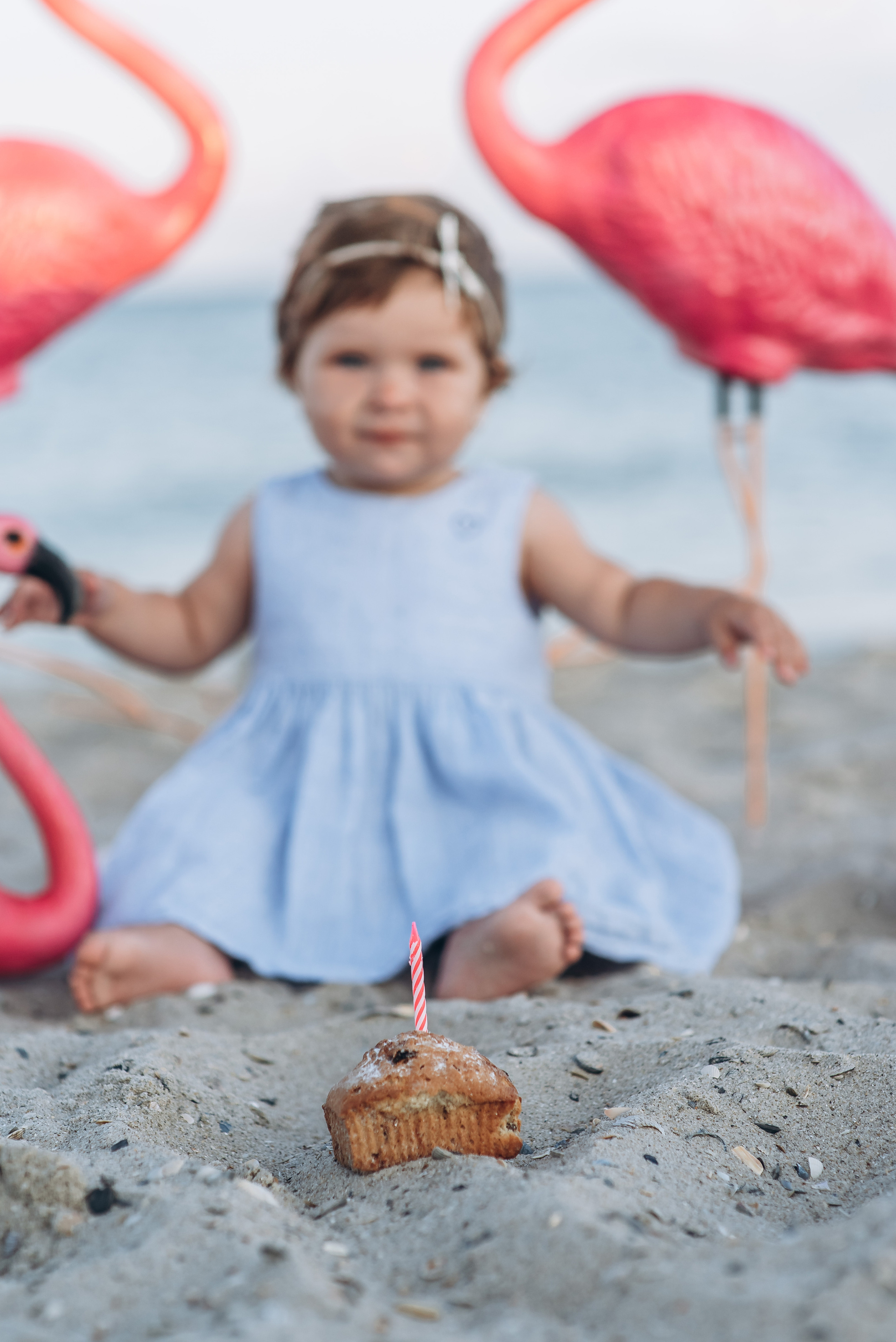 День народження. Весільний та сімейний фотограф Україна