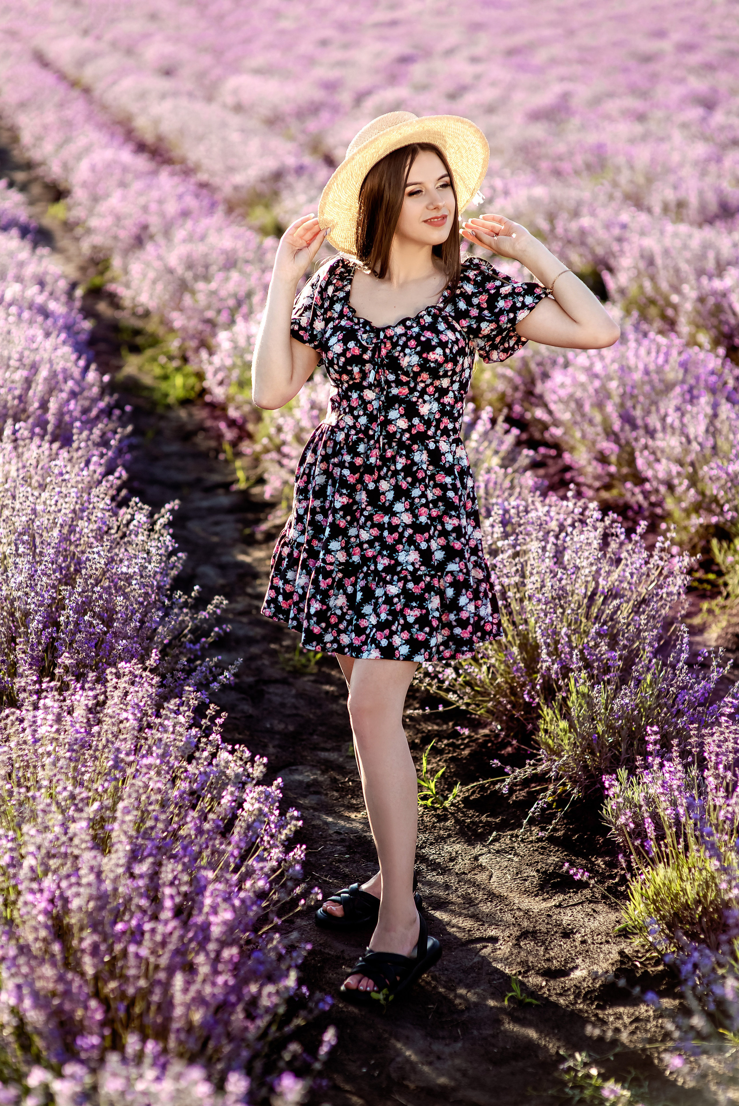 Таня і Діма лаванда. Весільний та сімейний фотограф Україна