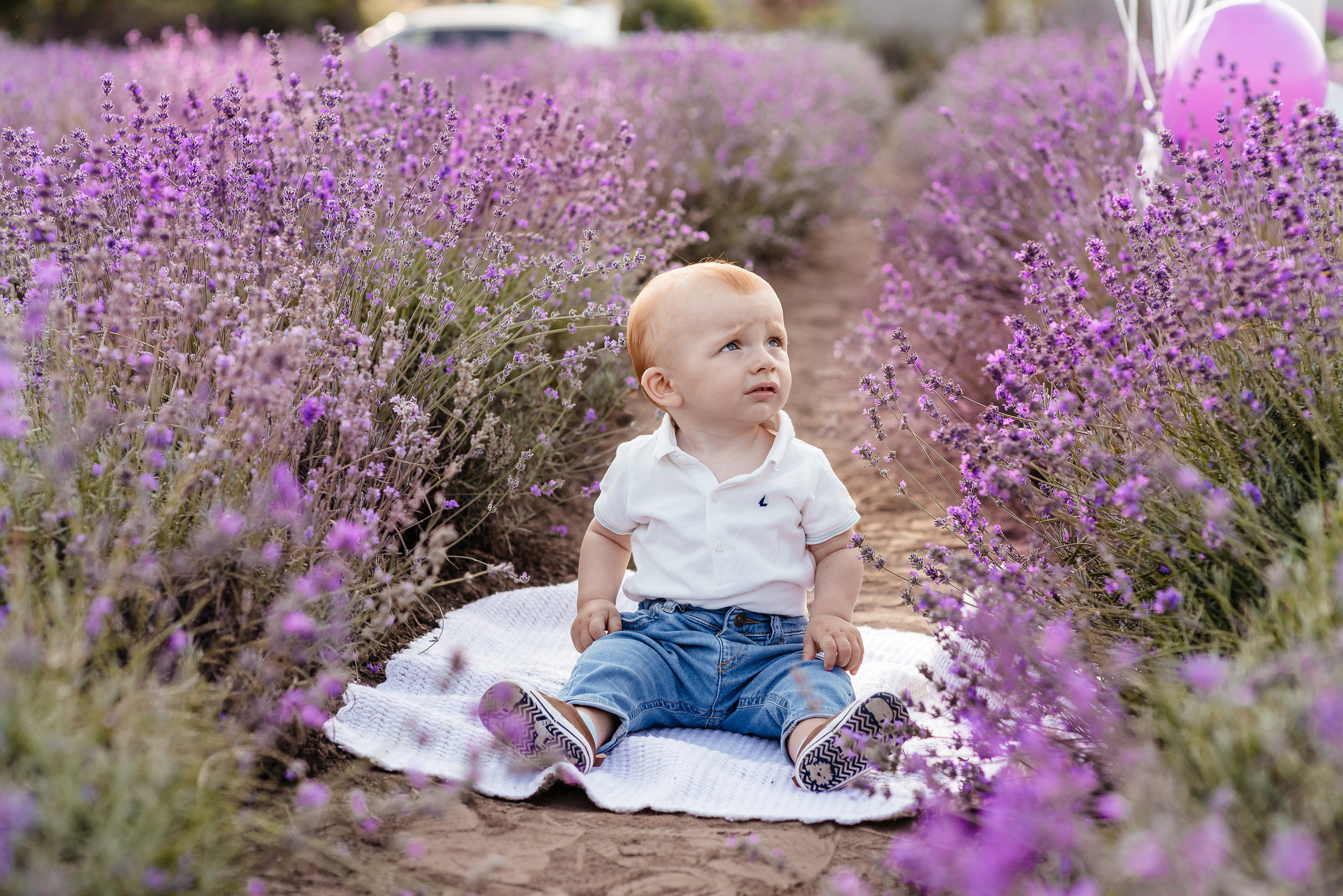Лаванда. Весільний та сімейний фотограф Україна