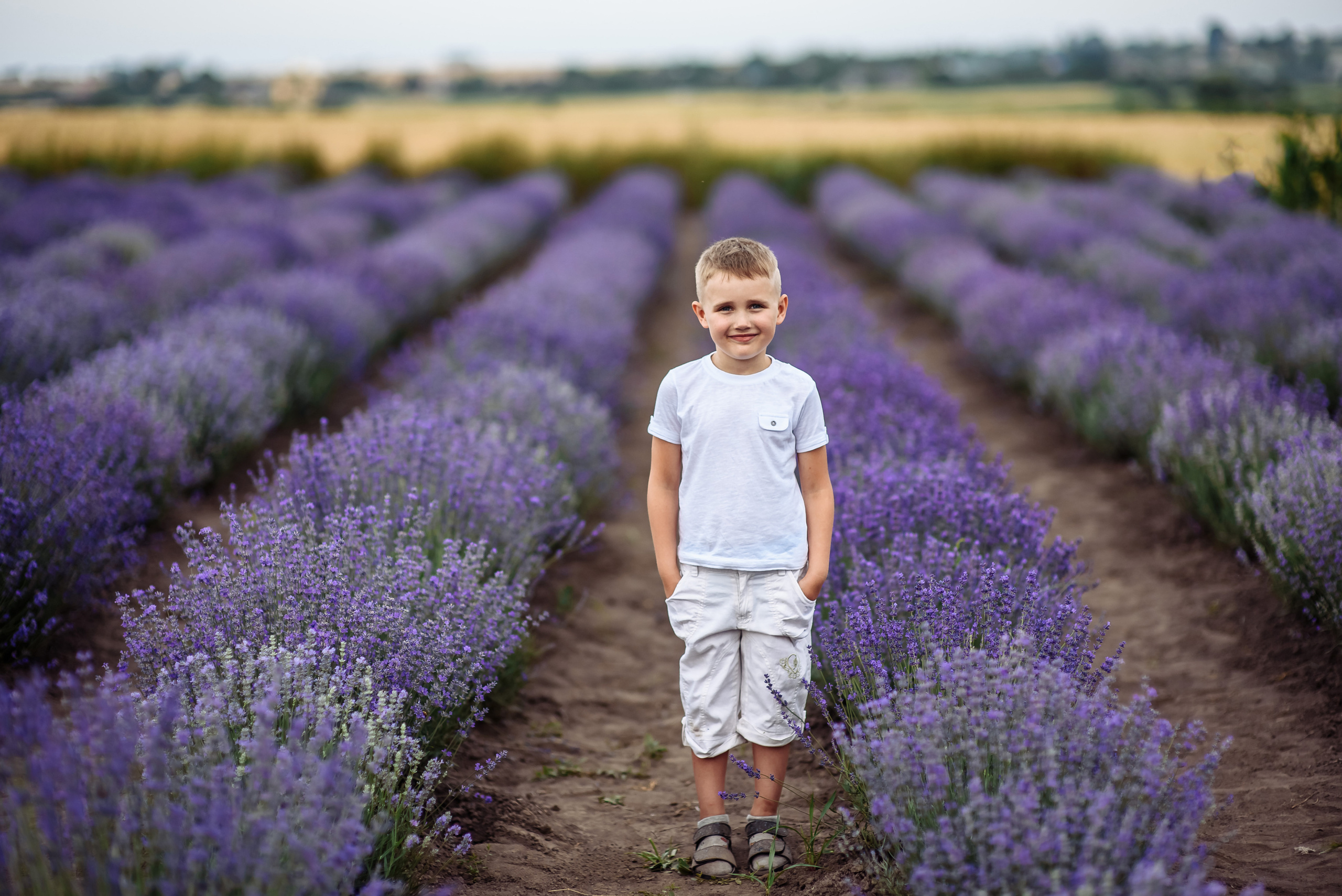 Лаванда. Весільний та сімейний фотограф Україна