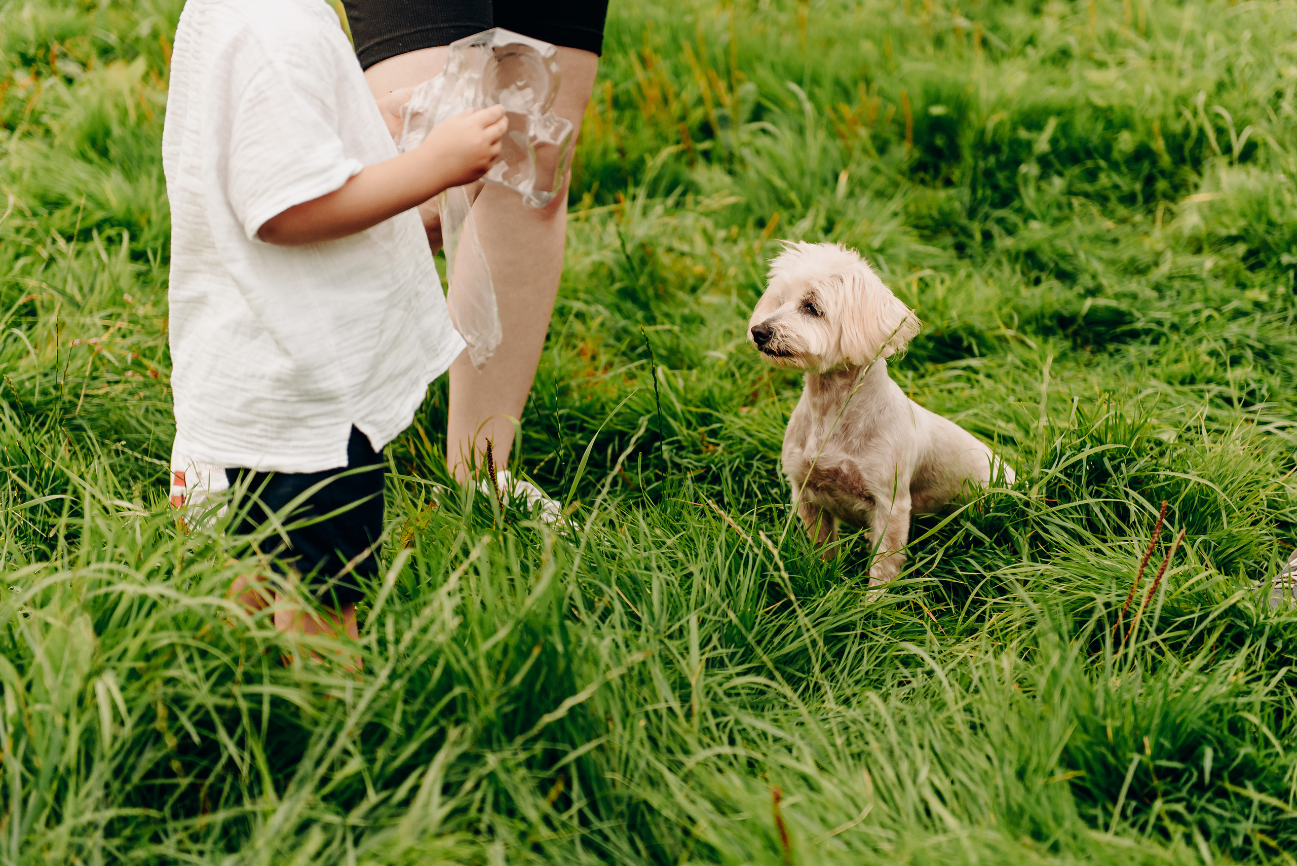 Сімейна. Весільний та сімейний фотограф Україна