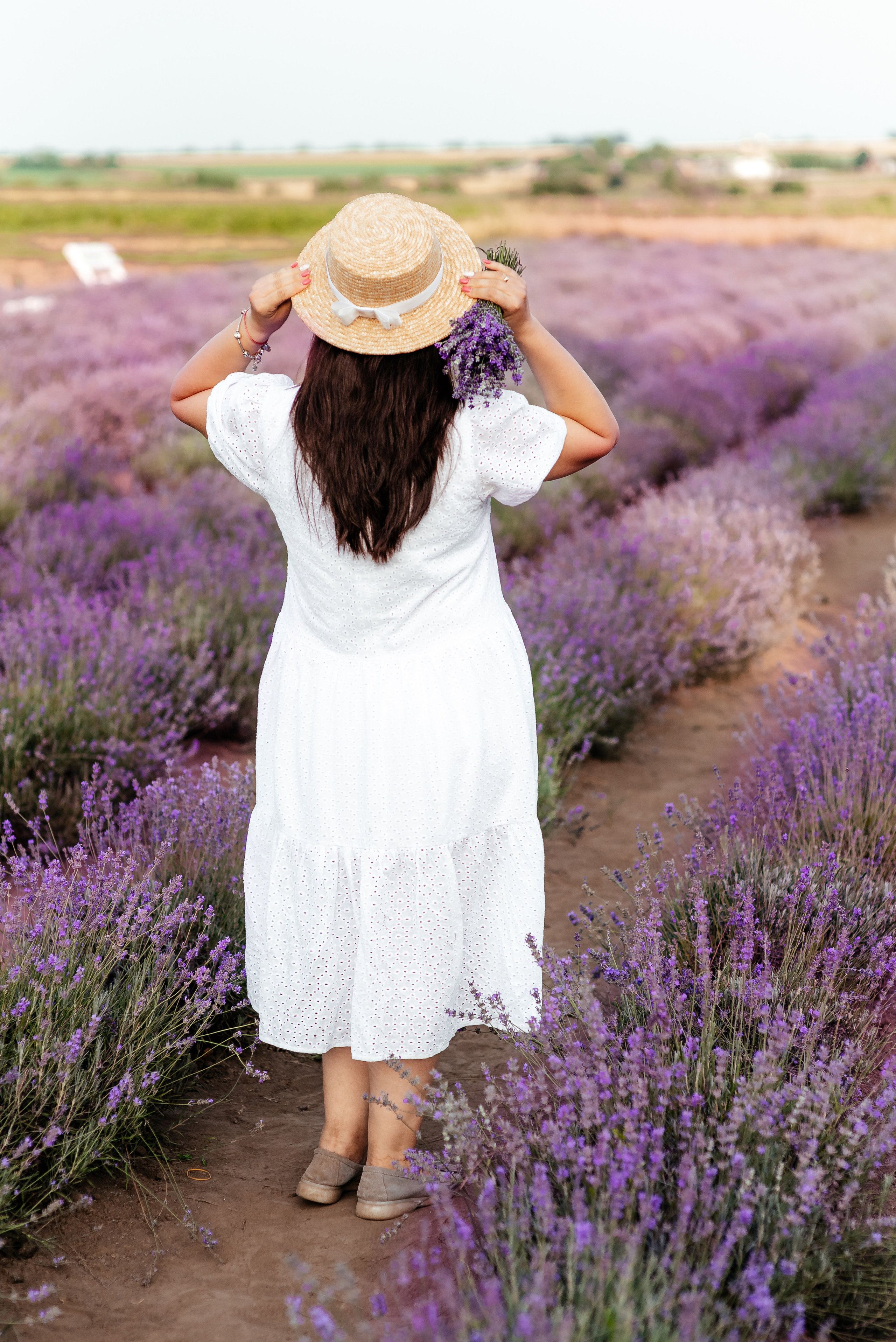 Лаванда. Весільний та сімейний фотограф Україна