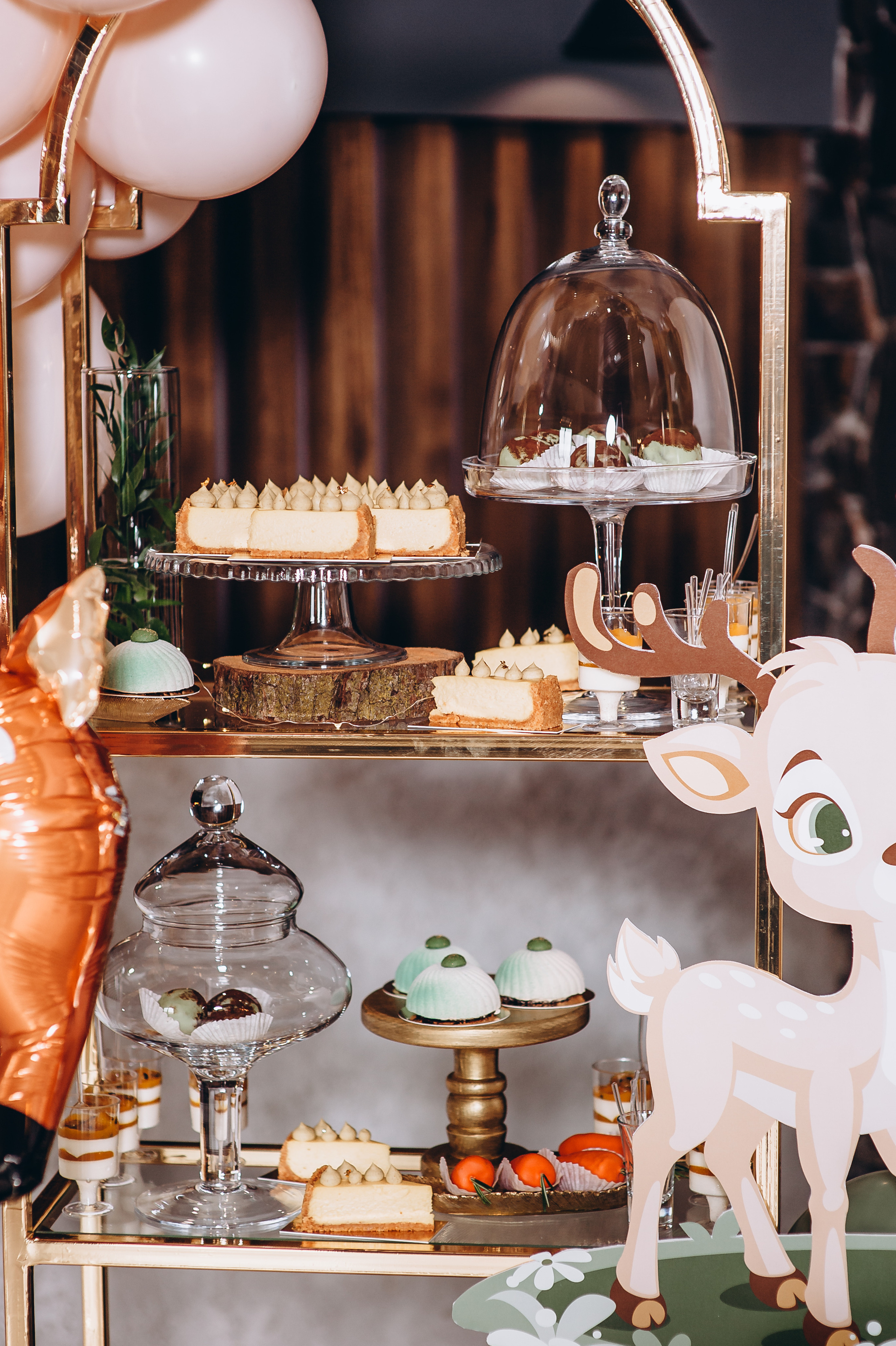 День народження. Весільний та сімейний фотограф Україна