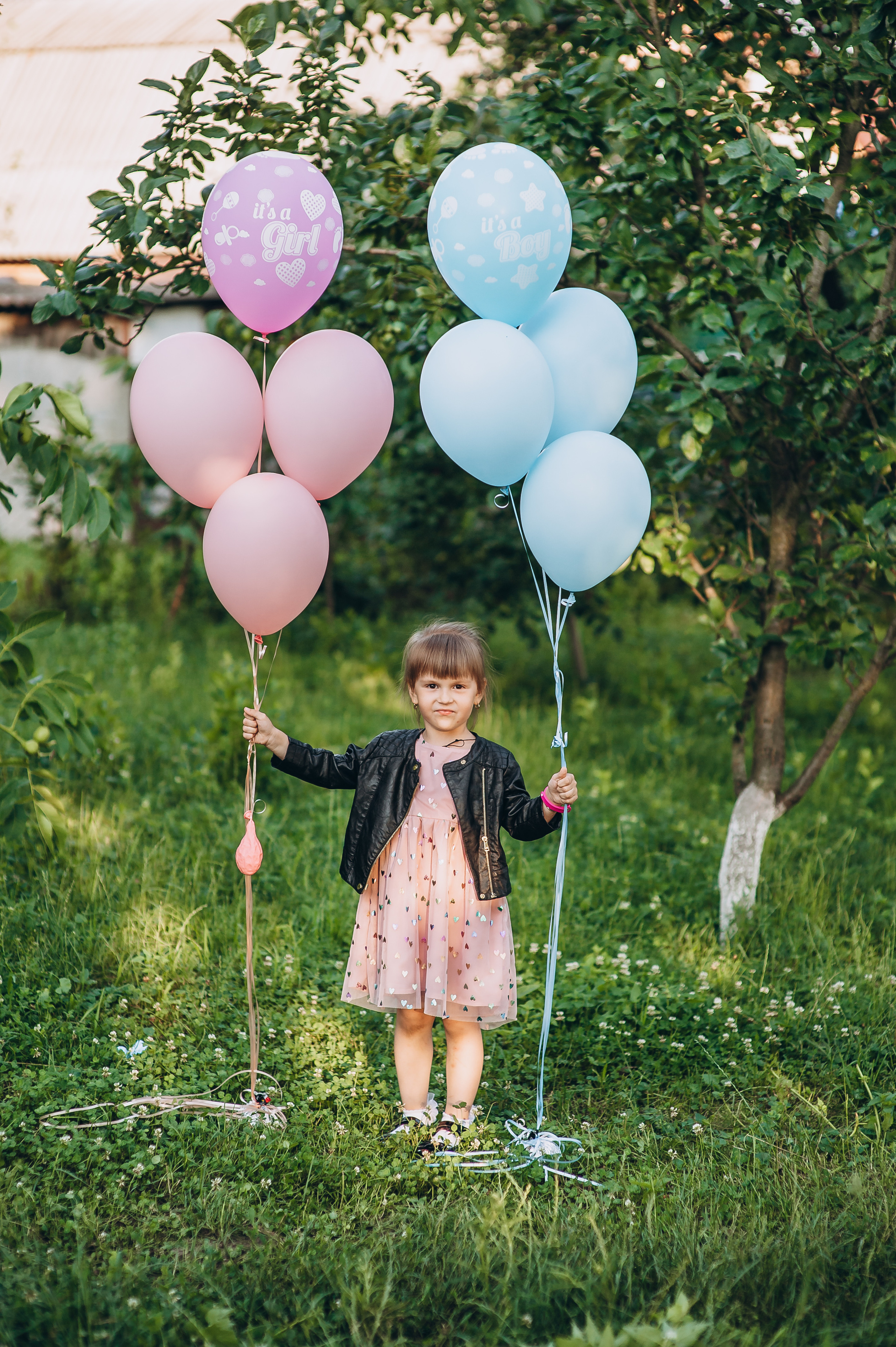 Gender party. Весільний та сімейний фотограф Україна