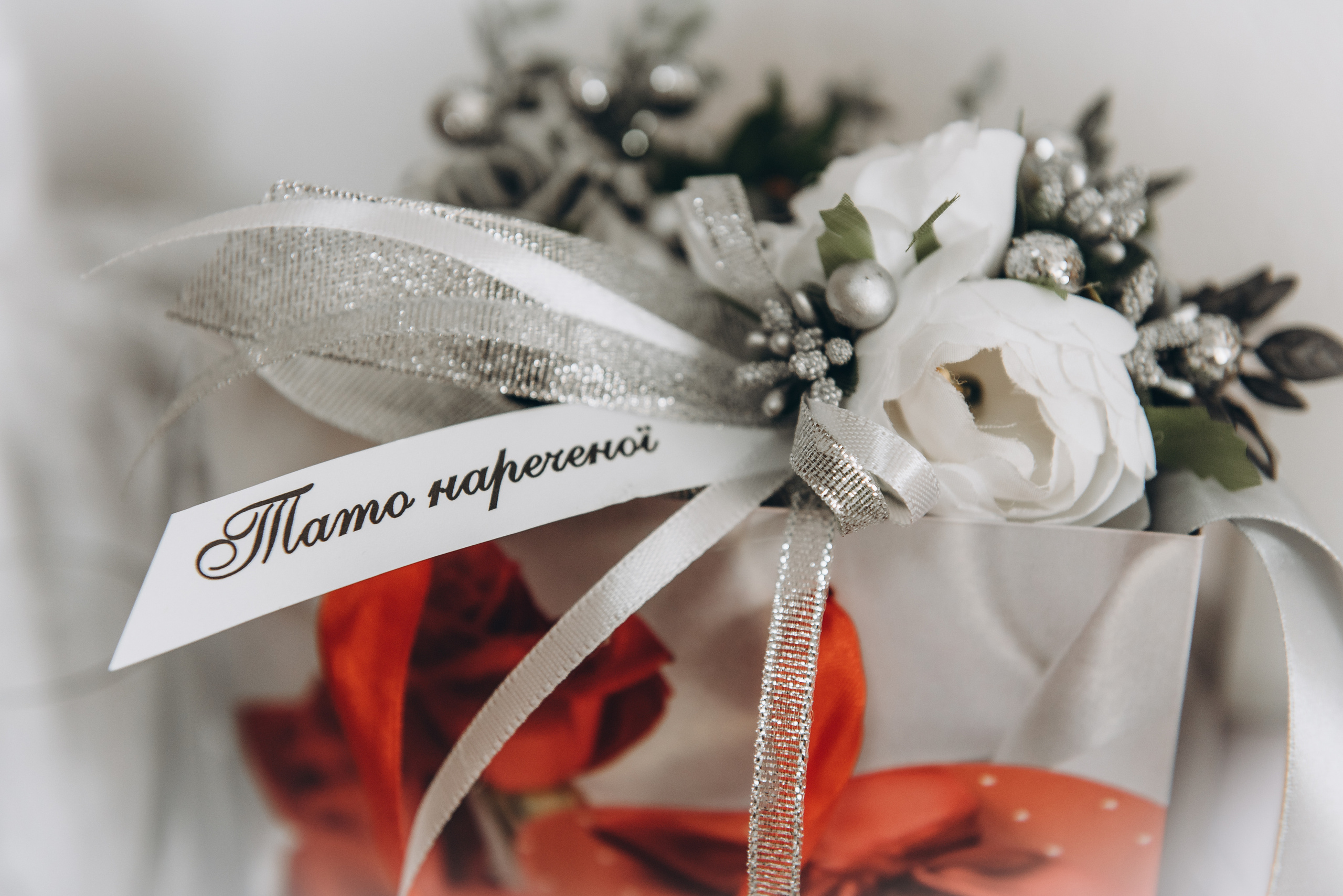 Весілля Юліі та Міши. Весільний та сімейний фотограф Україна