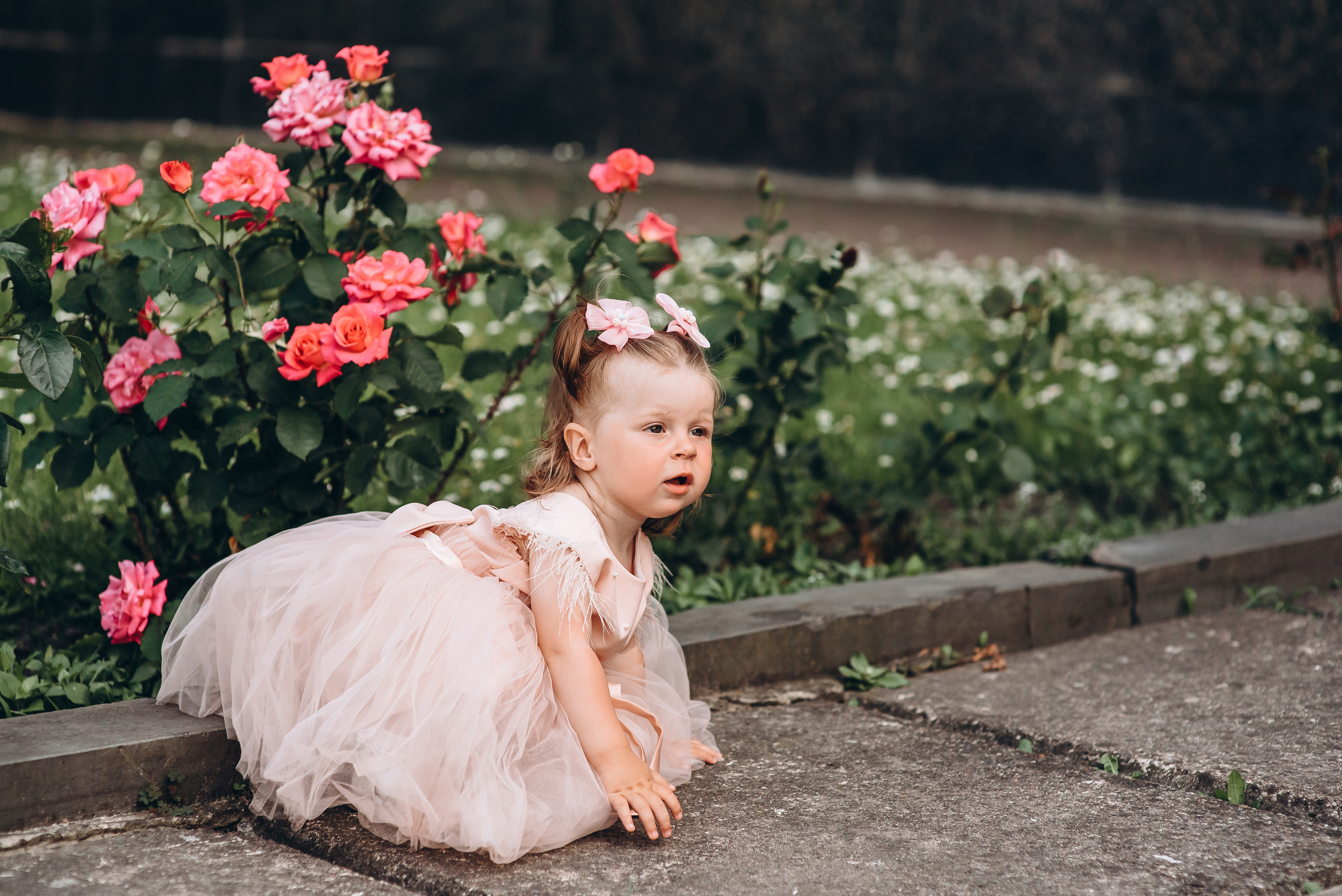 День народження. Весільний та сімейний фотограф Україна