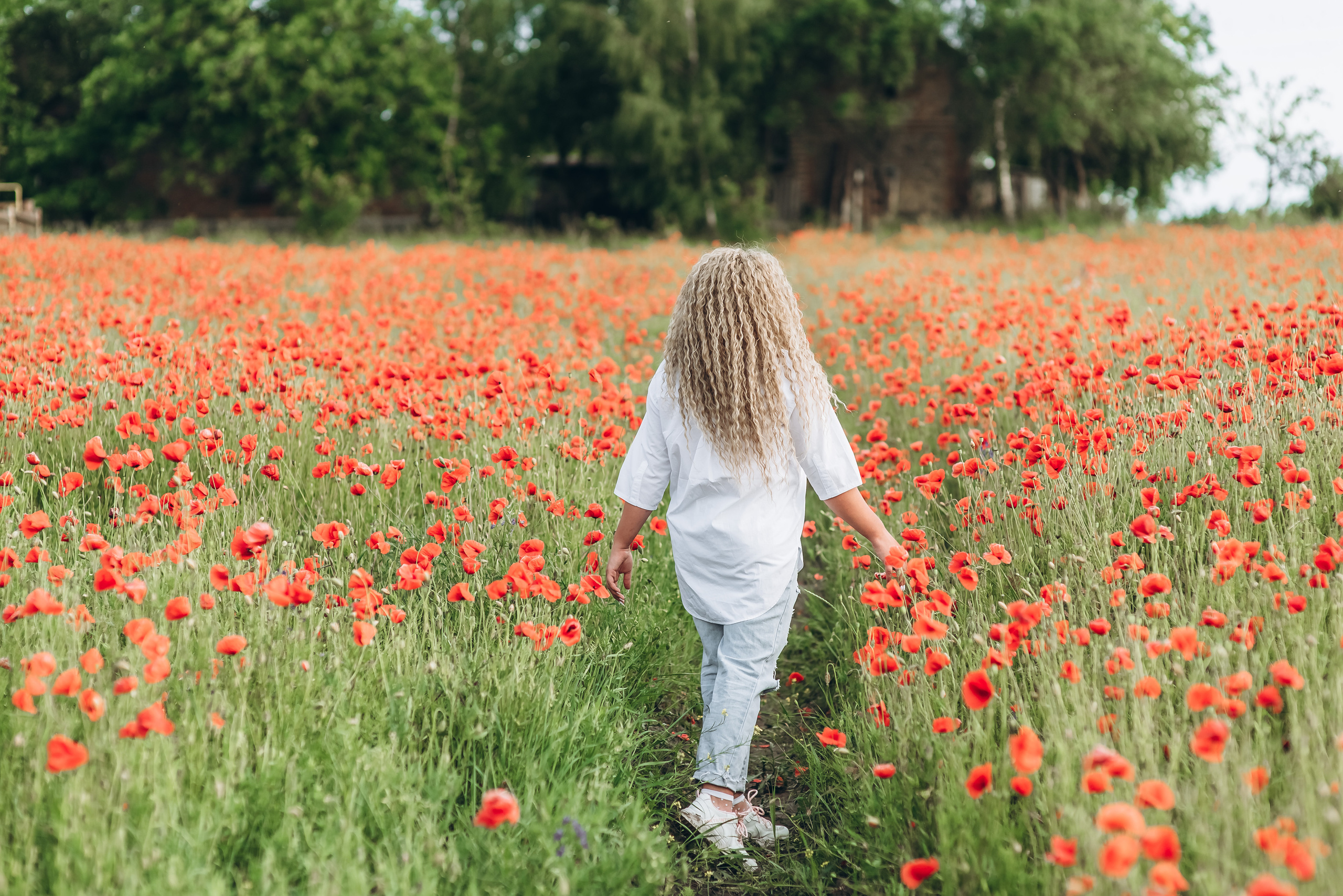 Маки. Весільний та сімейний фотограф Україна