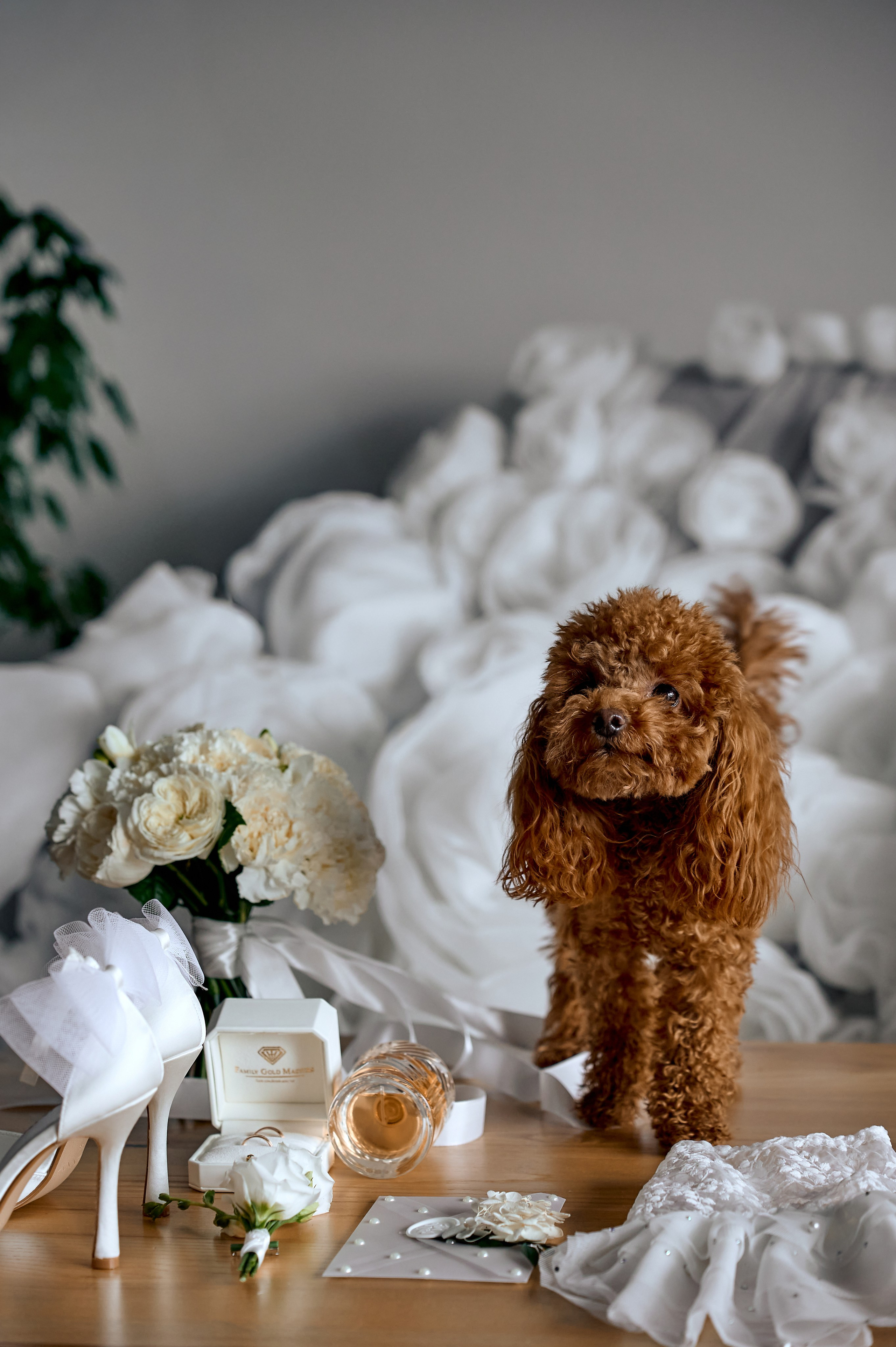 Весільні історіі. Весільний та сімейний фотограф Україна