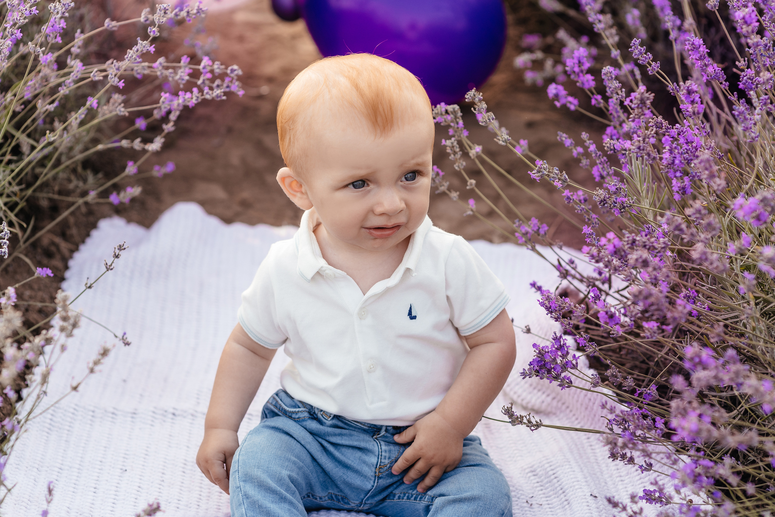 Лаванда. Весільний та сімейний фотограф Україна