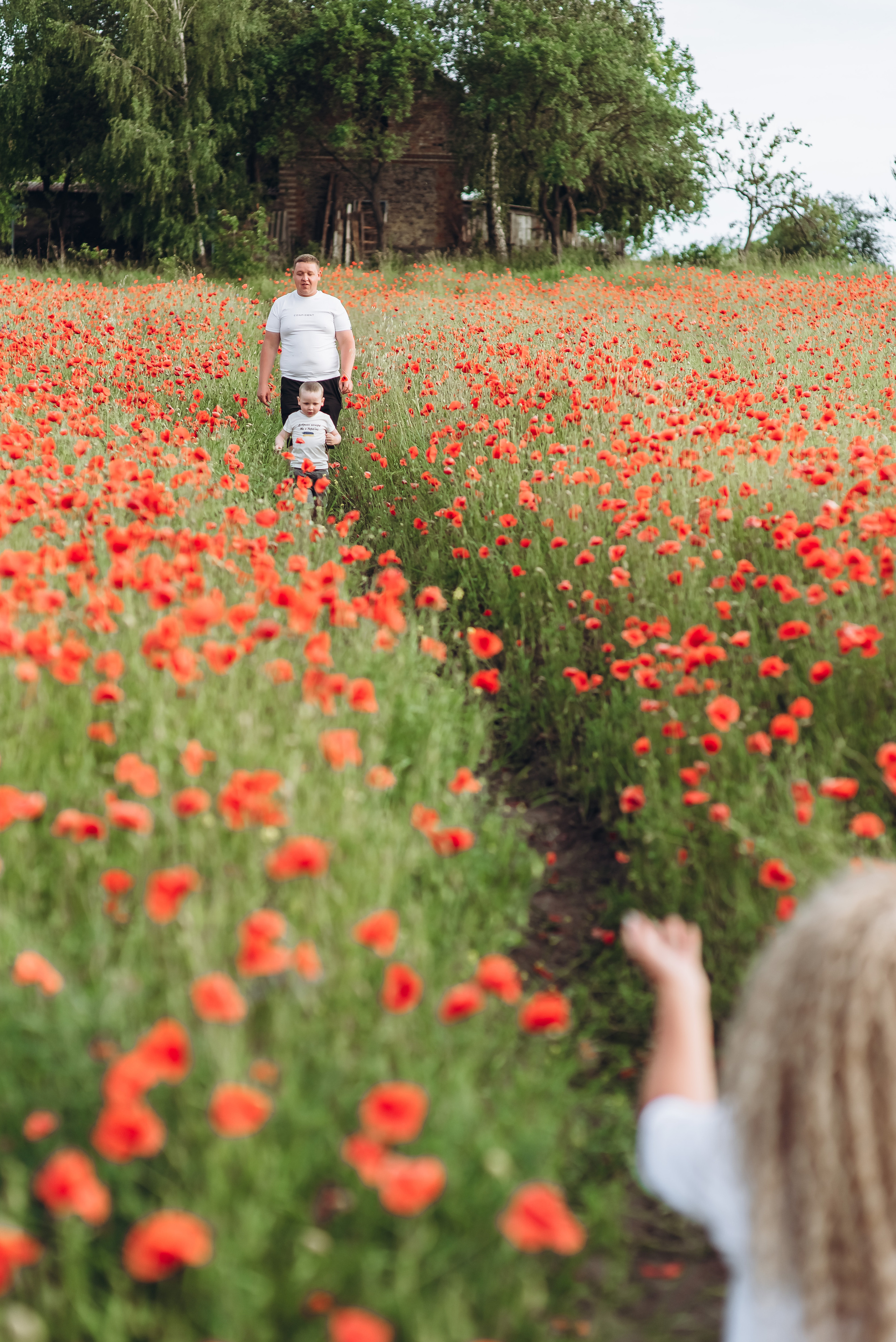 Маки. Весільний та сімейний фотограф Україна
