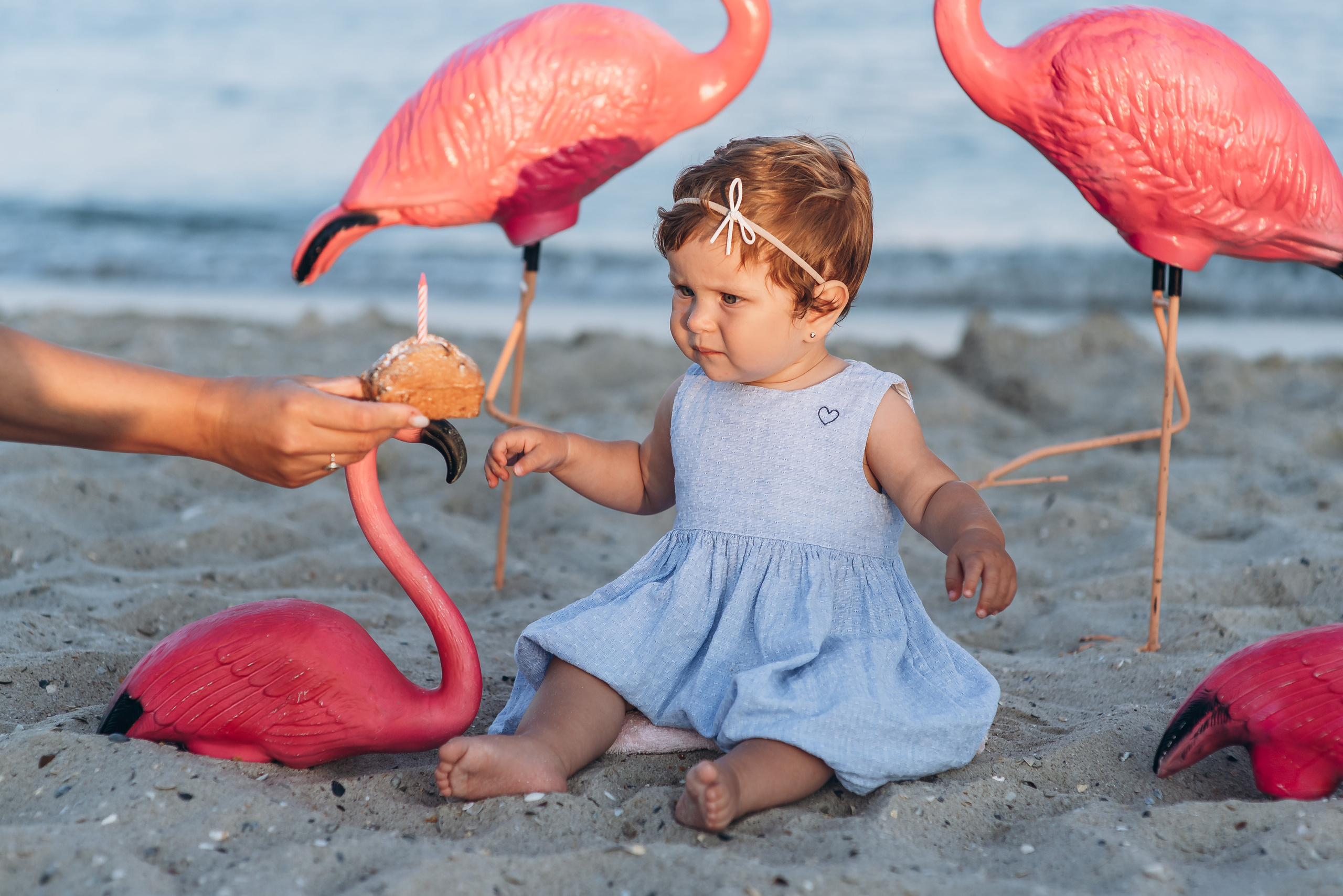 День народження. Весільний та сімейний фотограф Україна