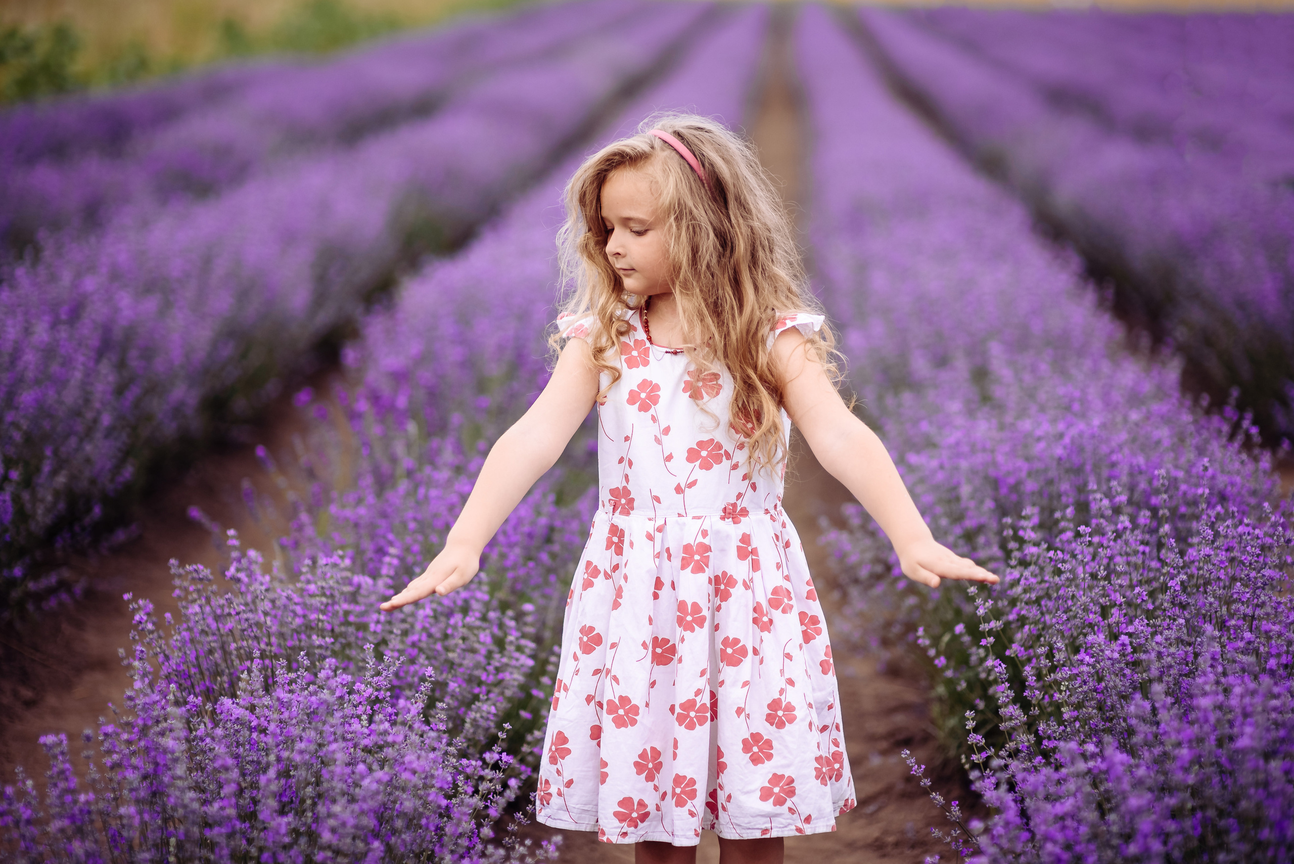 Лаванда. Весільний та сімейний фотограф Україна