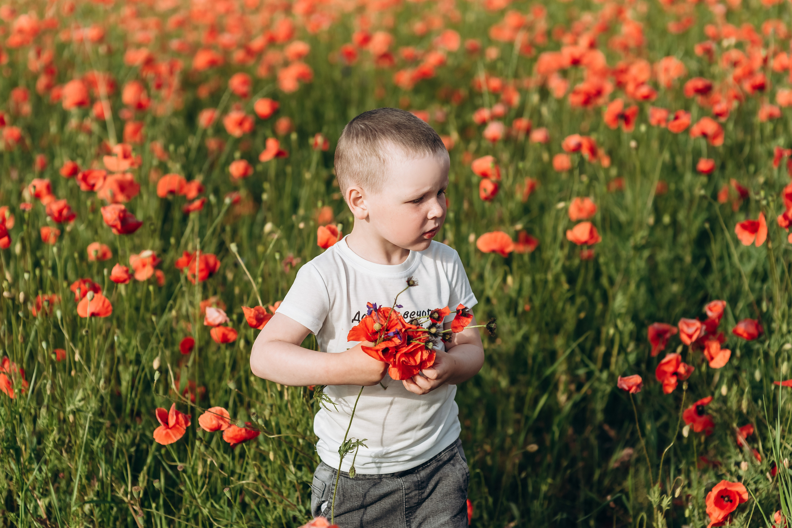 Маки. Весільний та сімейний фотограф Україна