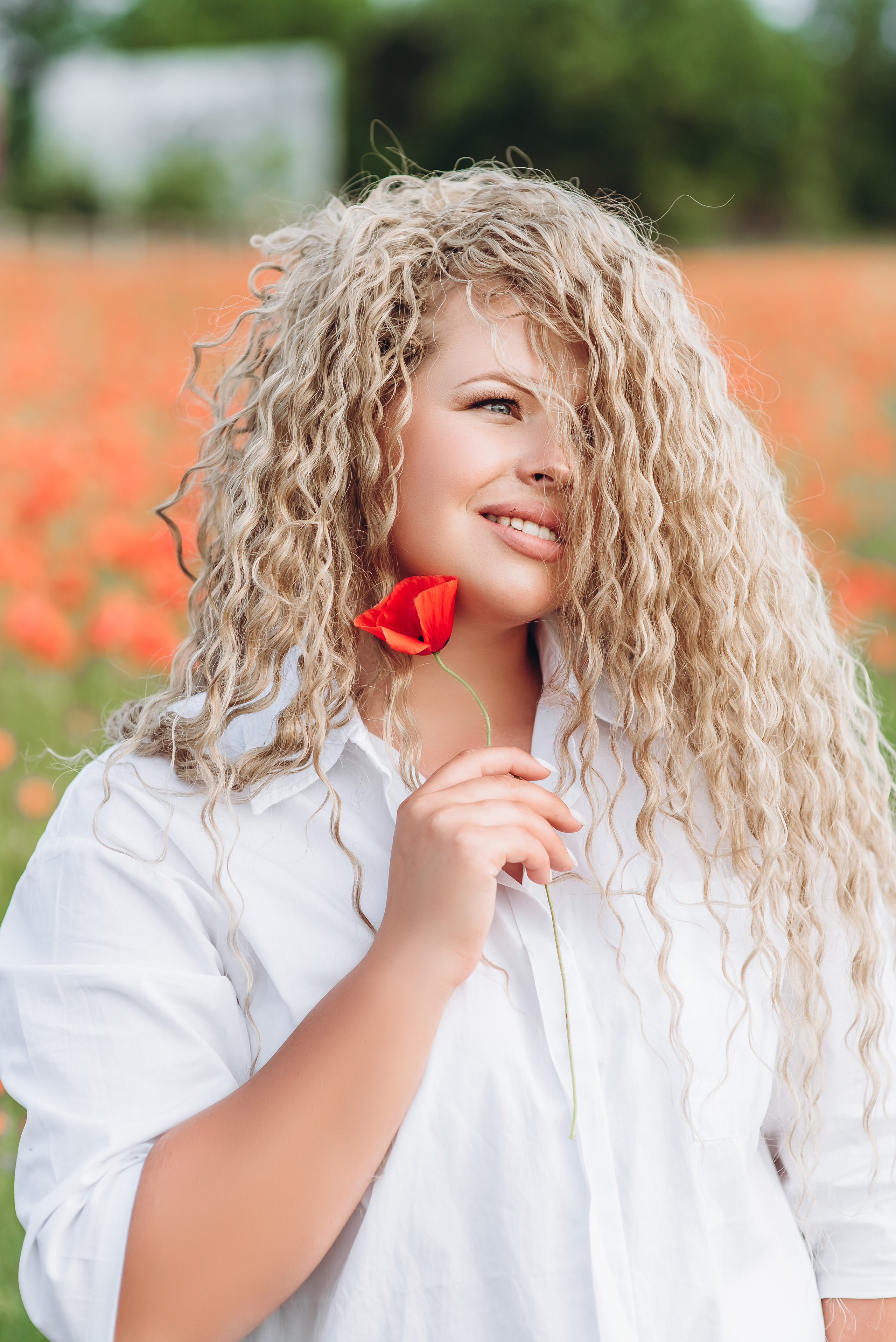 Маки. Весільний та сімейний фотограф Україна