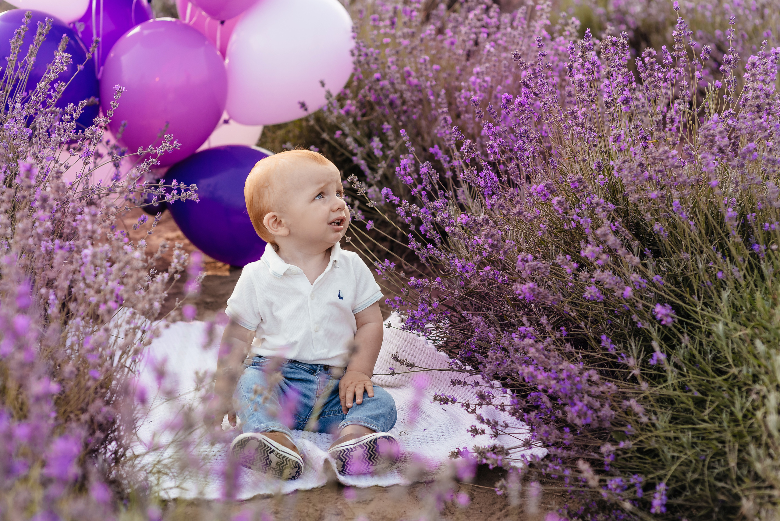 Лаванда. Весільний та сімейний фотограф Україна