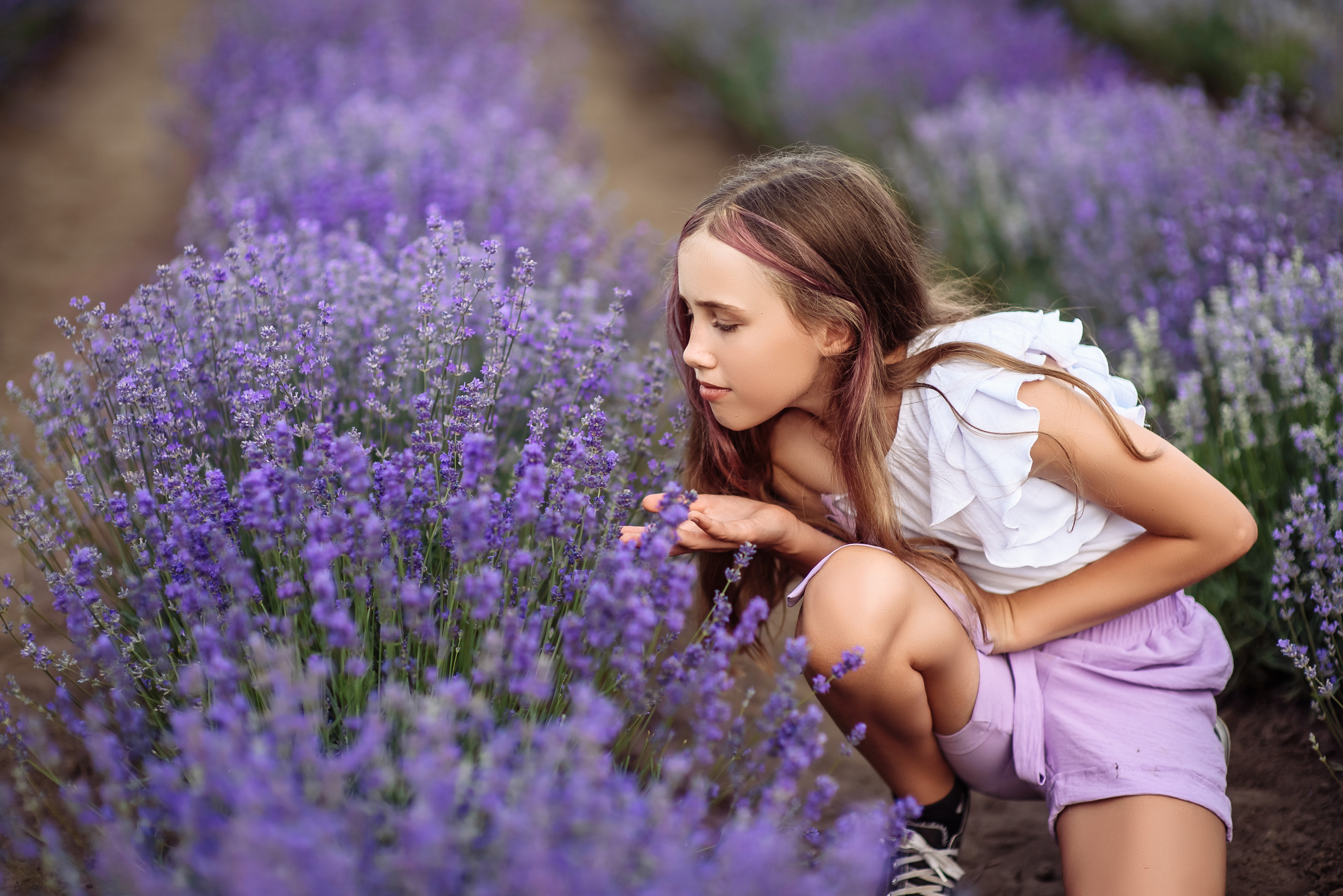 Лаванда. Весільний та сімейний фотограф Україна