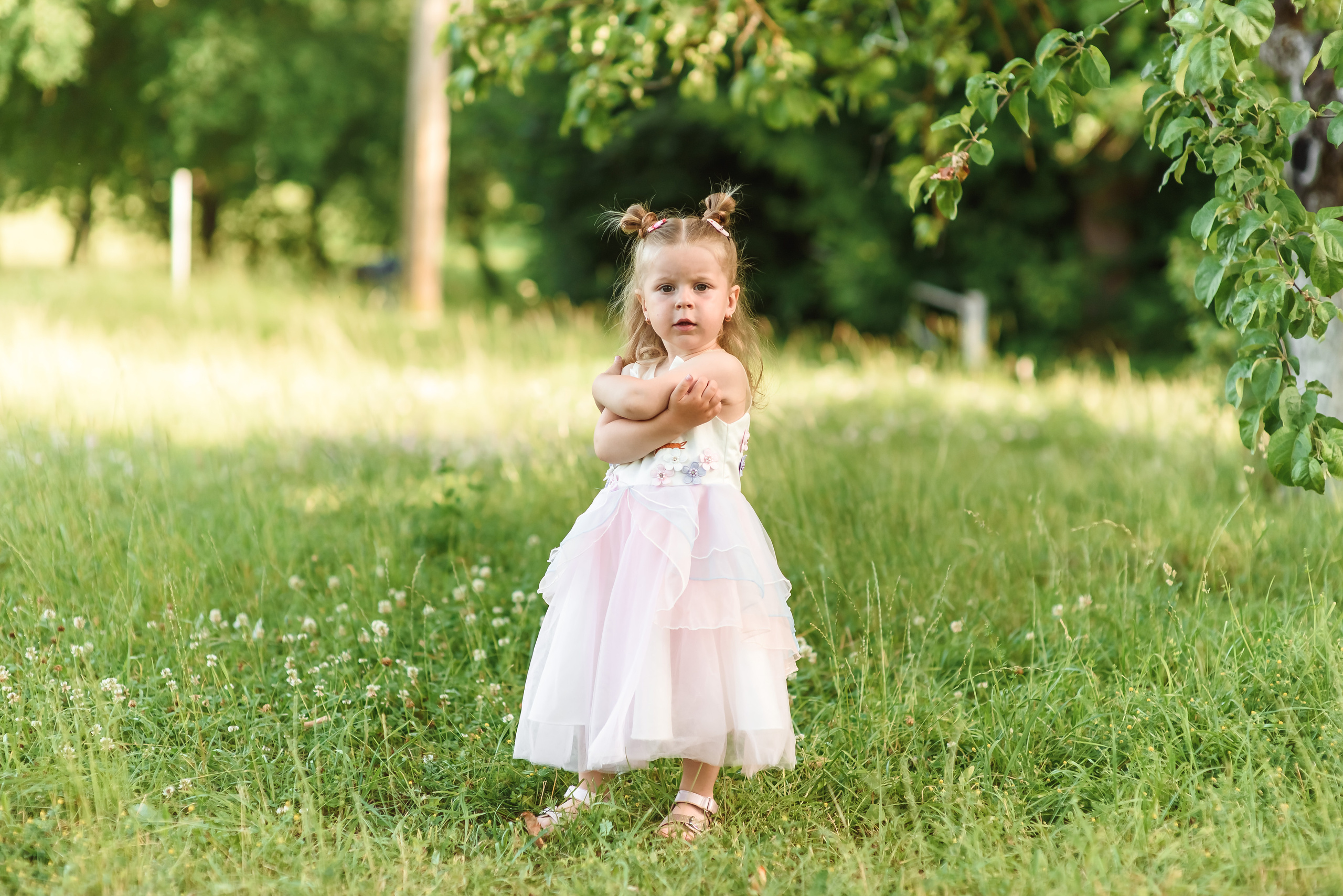 Сімейна. Весільний та сімейний фотограф Україна