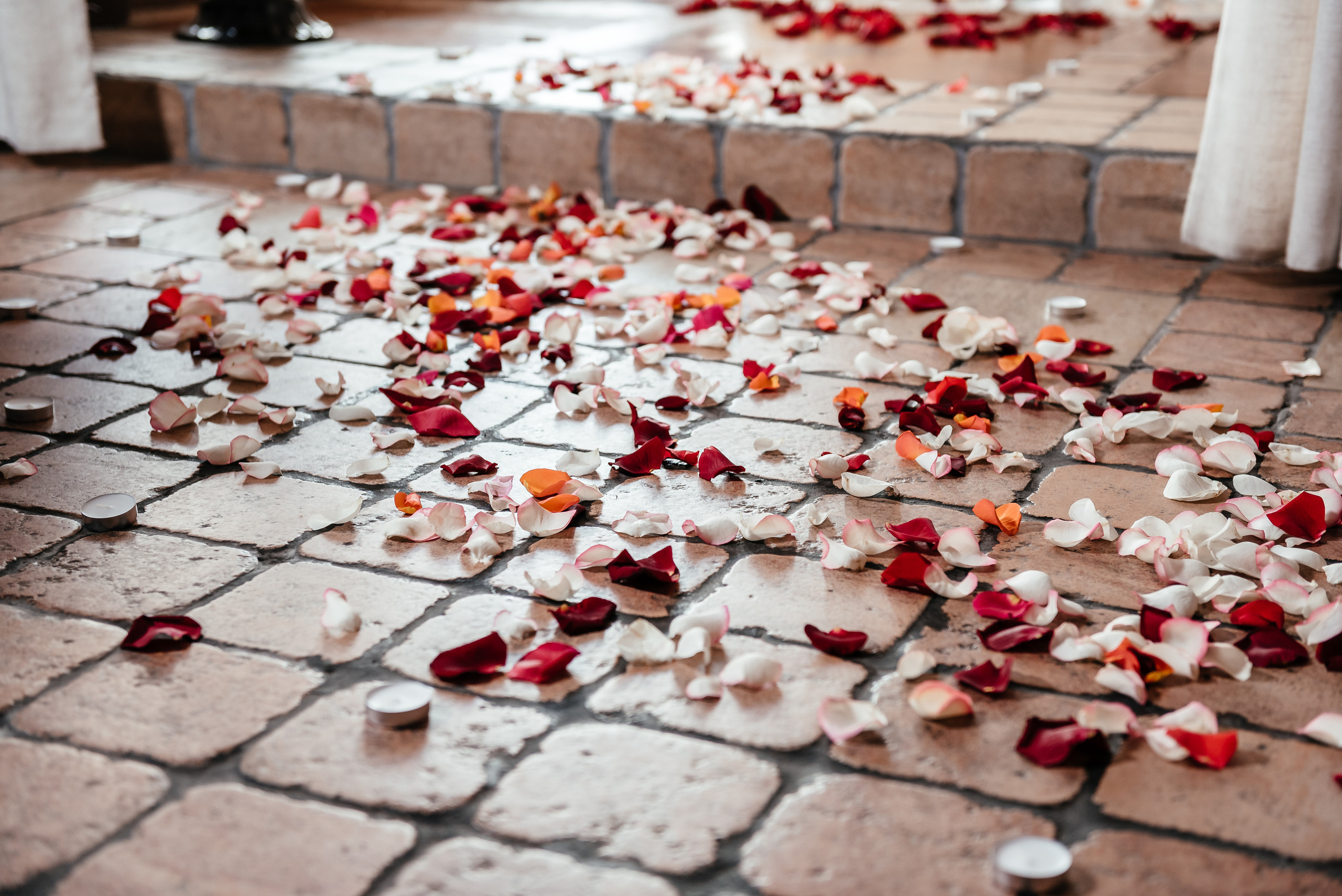 Вона сказала так…. Весільний та сімейний фотограф Україна