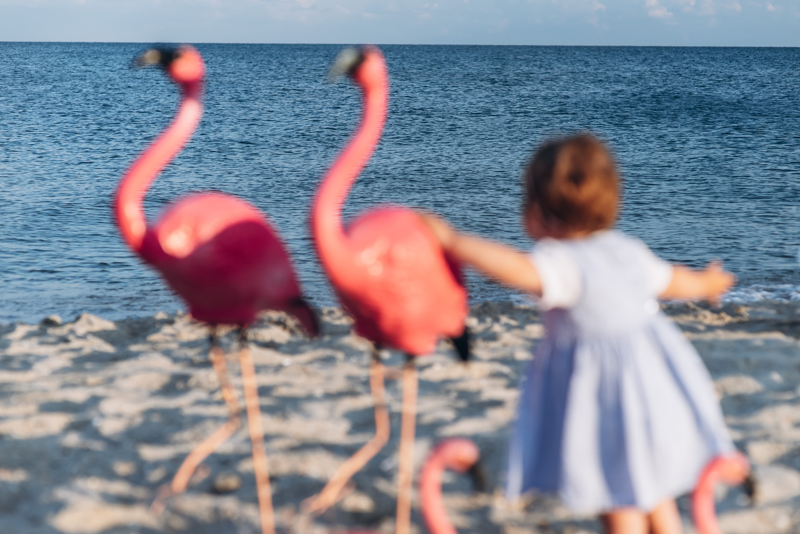 День народження. Весільний та сімейний фотограф Україна