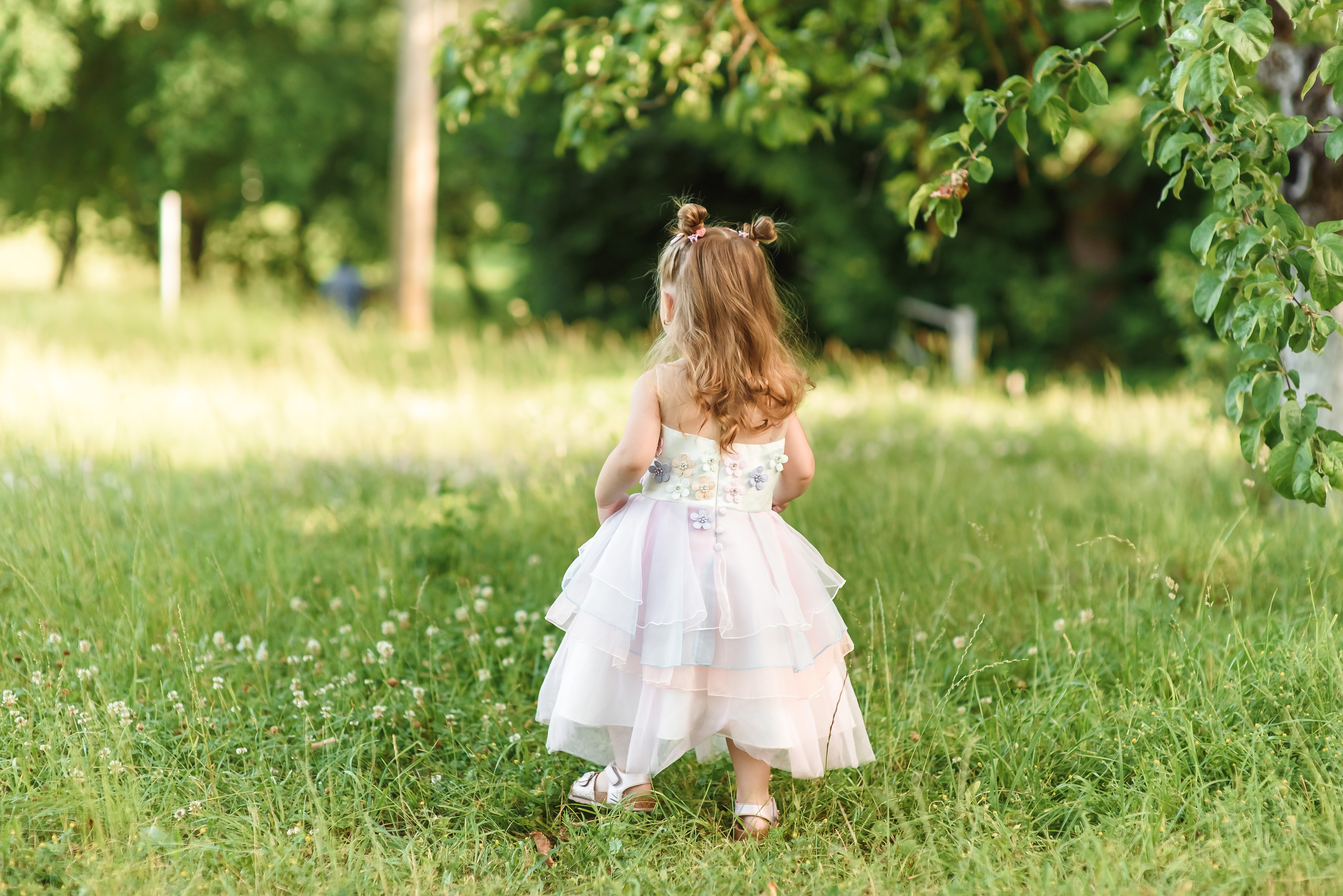 Сімейна. Весільний та сімейний фотограф Україна