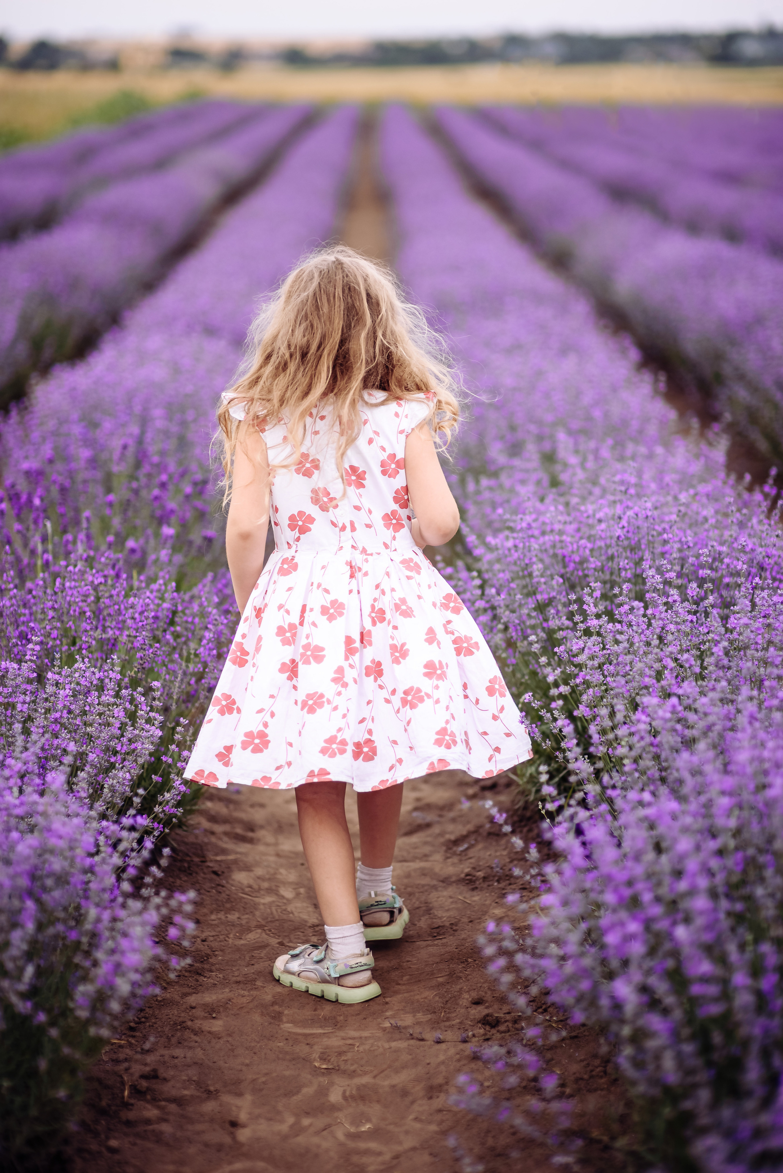 Лаванда. Весільний та сімейний фотограф Україна