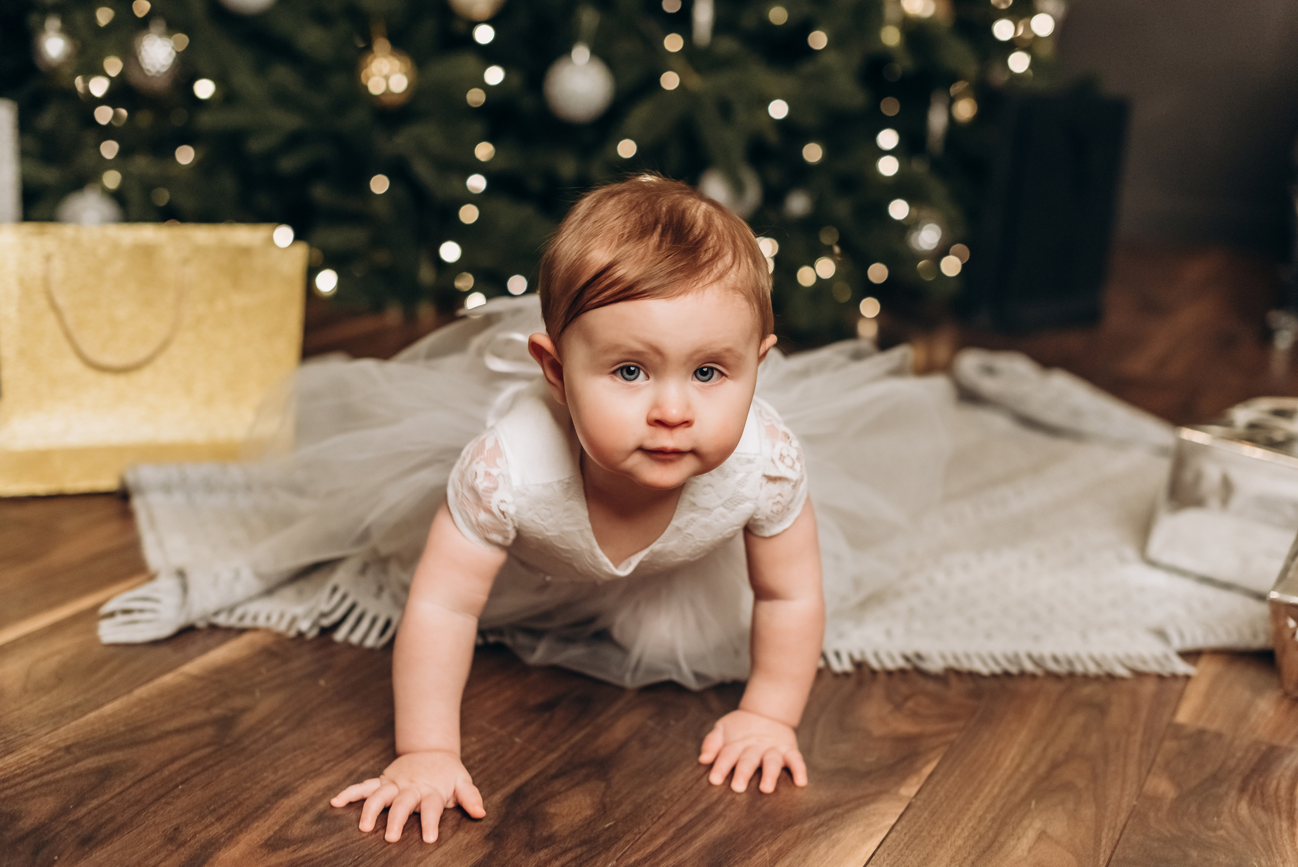 Новорічна та сімейн фотосесія. Весільний та сімейний фотограф Україна