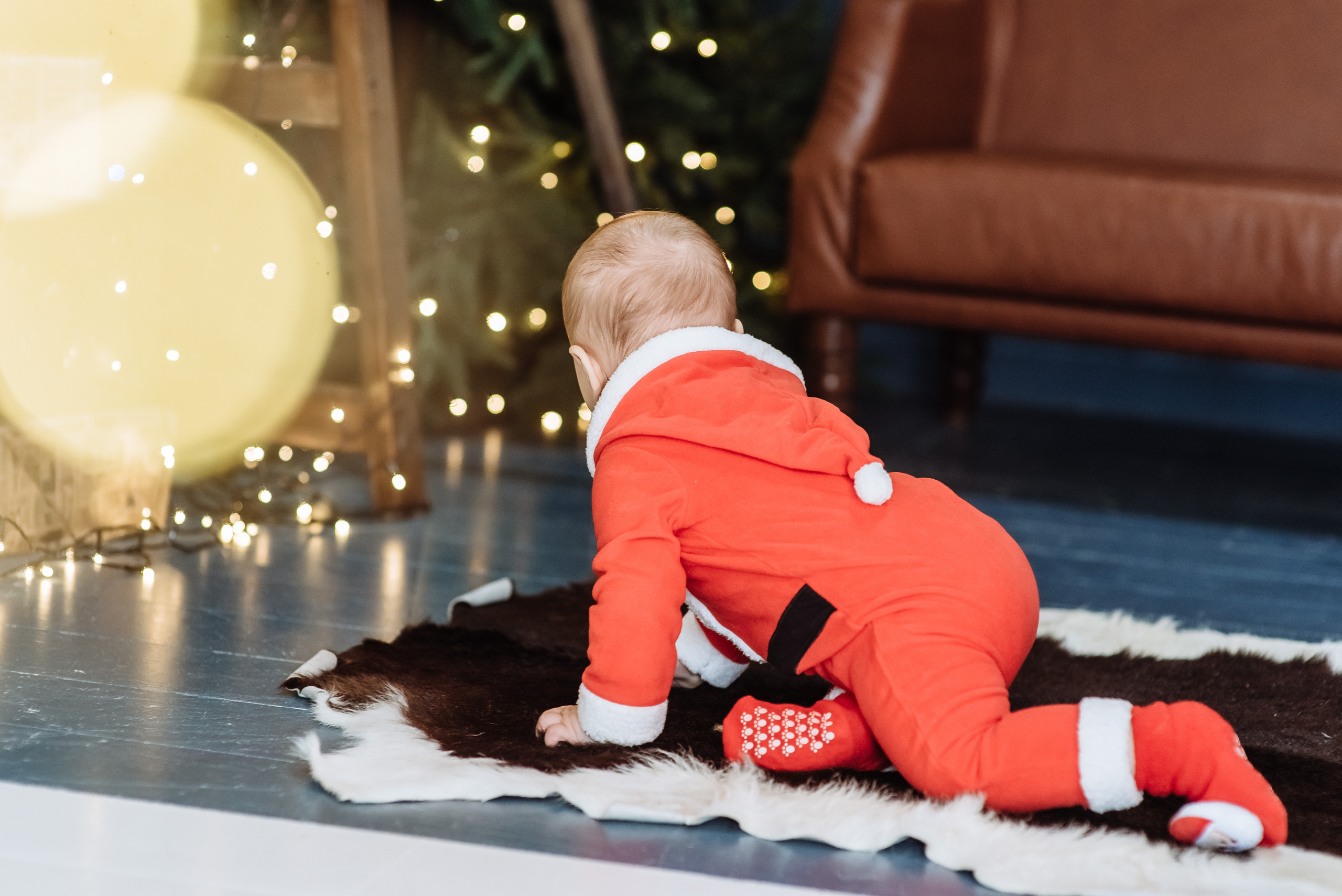 Новорічна та сімейн фотосесія. Весільний та сімейний фотограф Україна