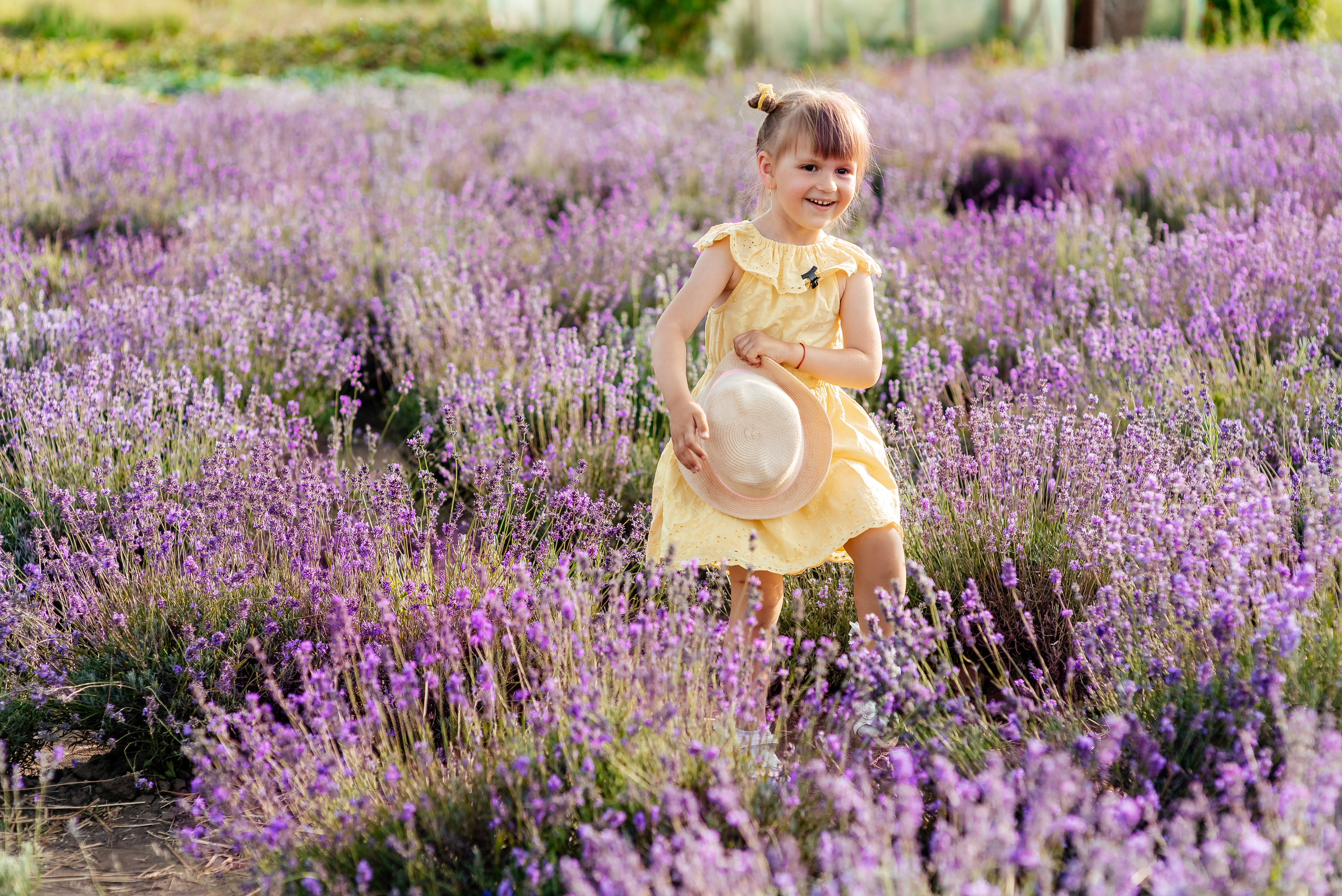 Лаванда. Весільний та сімейний фотограф Україна