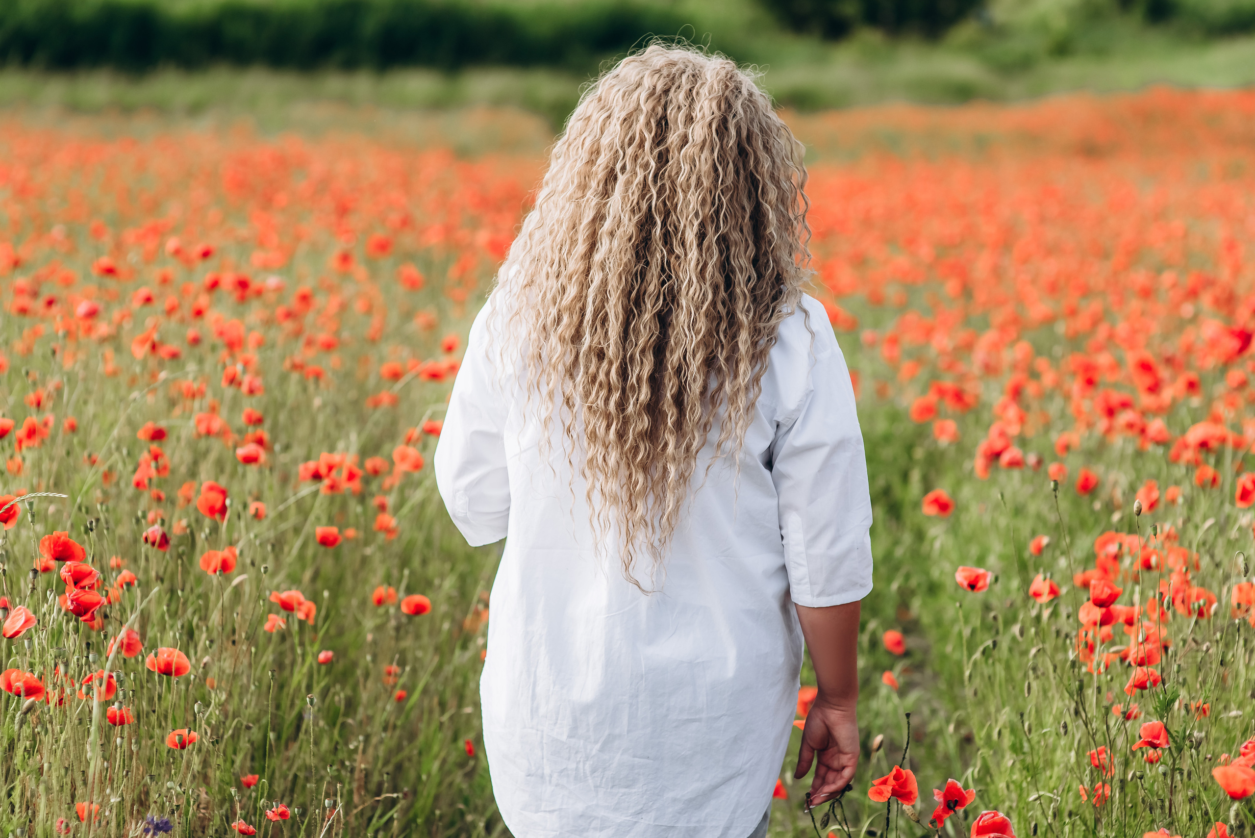 Маки. Весільний та сімейний фотограф Україна