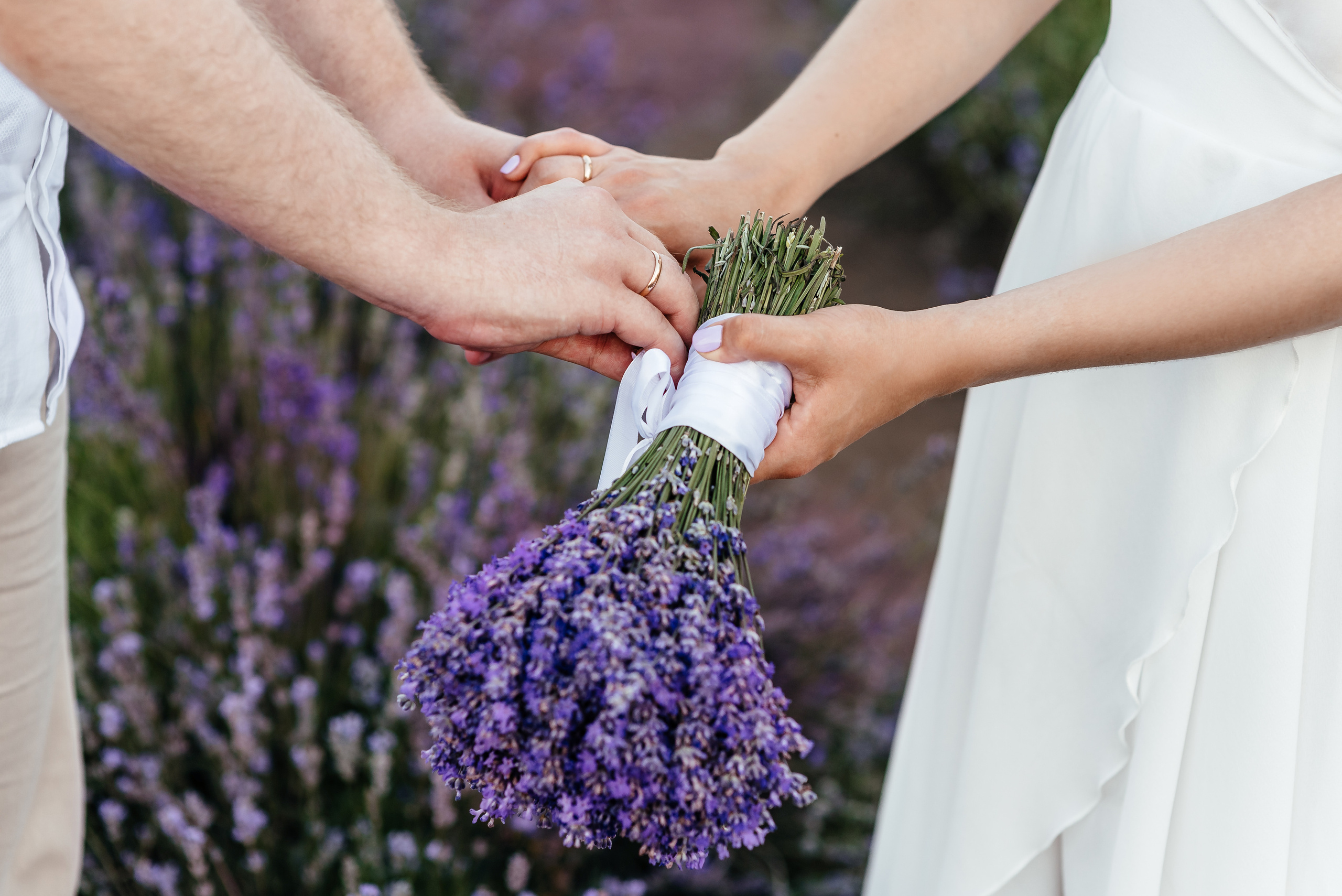 Лаванда. Весільний та сімейний фотограф Україна