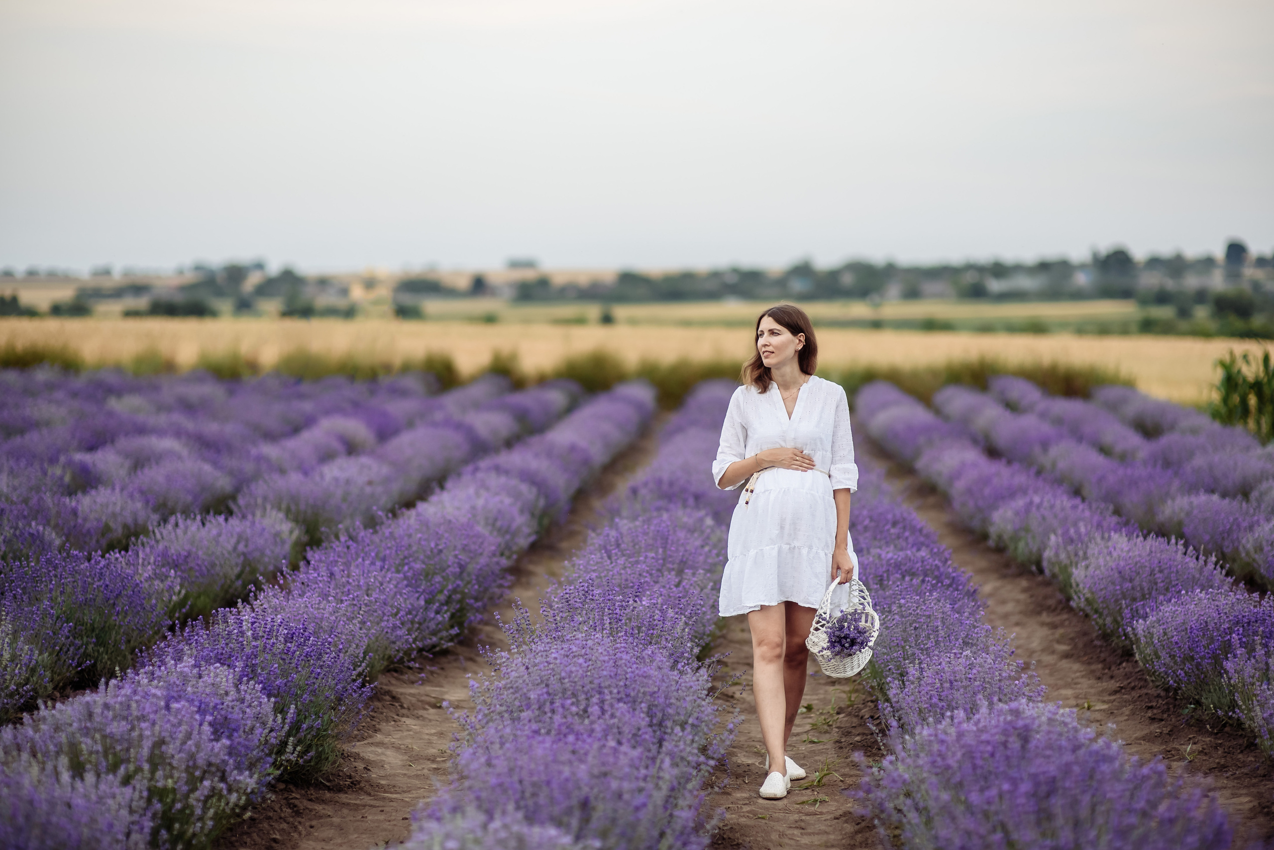 Лаванда. Весільний та сімейний фотограф Україна